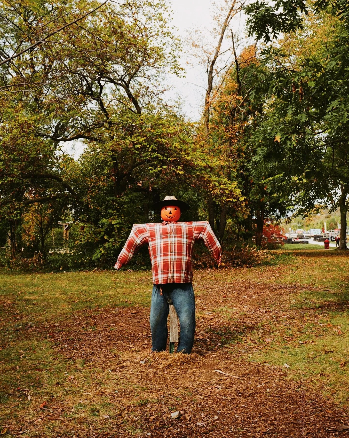 🍂🍁🍂

🎞️ #Gold200 #Leica
📍Dev + scan: @bellowsfilmlab