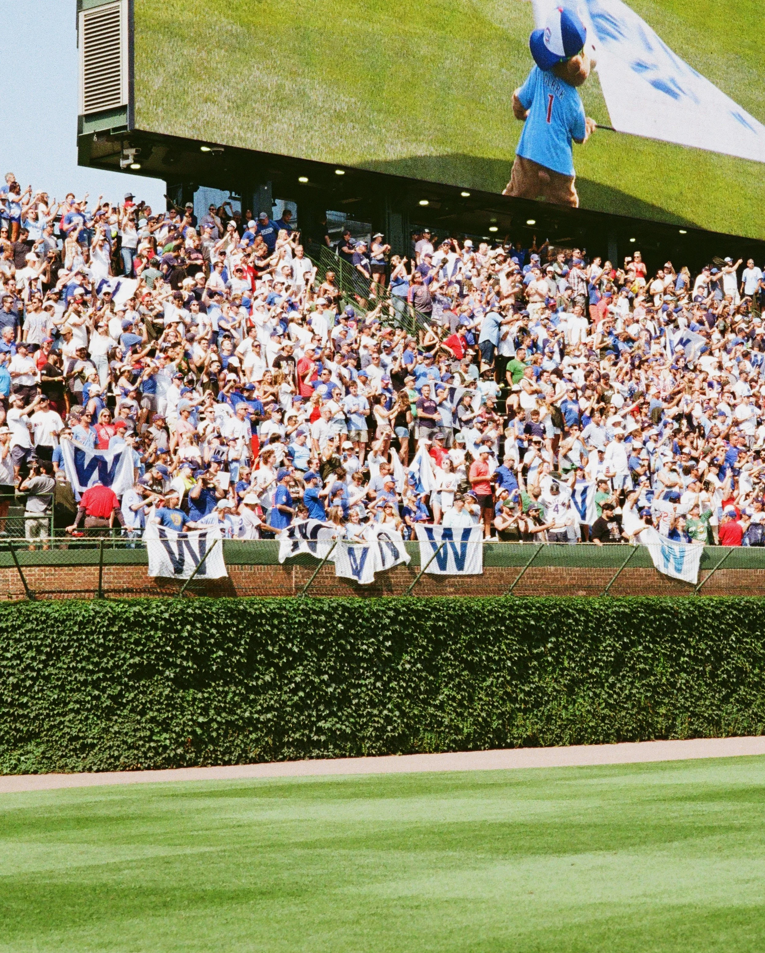 Views of a Chicago Cubs win in the bleachers. Fly the W.