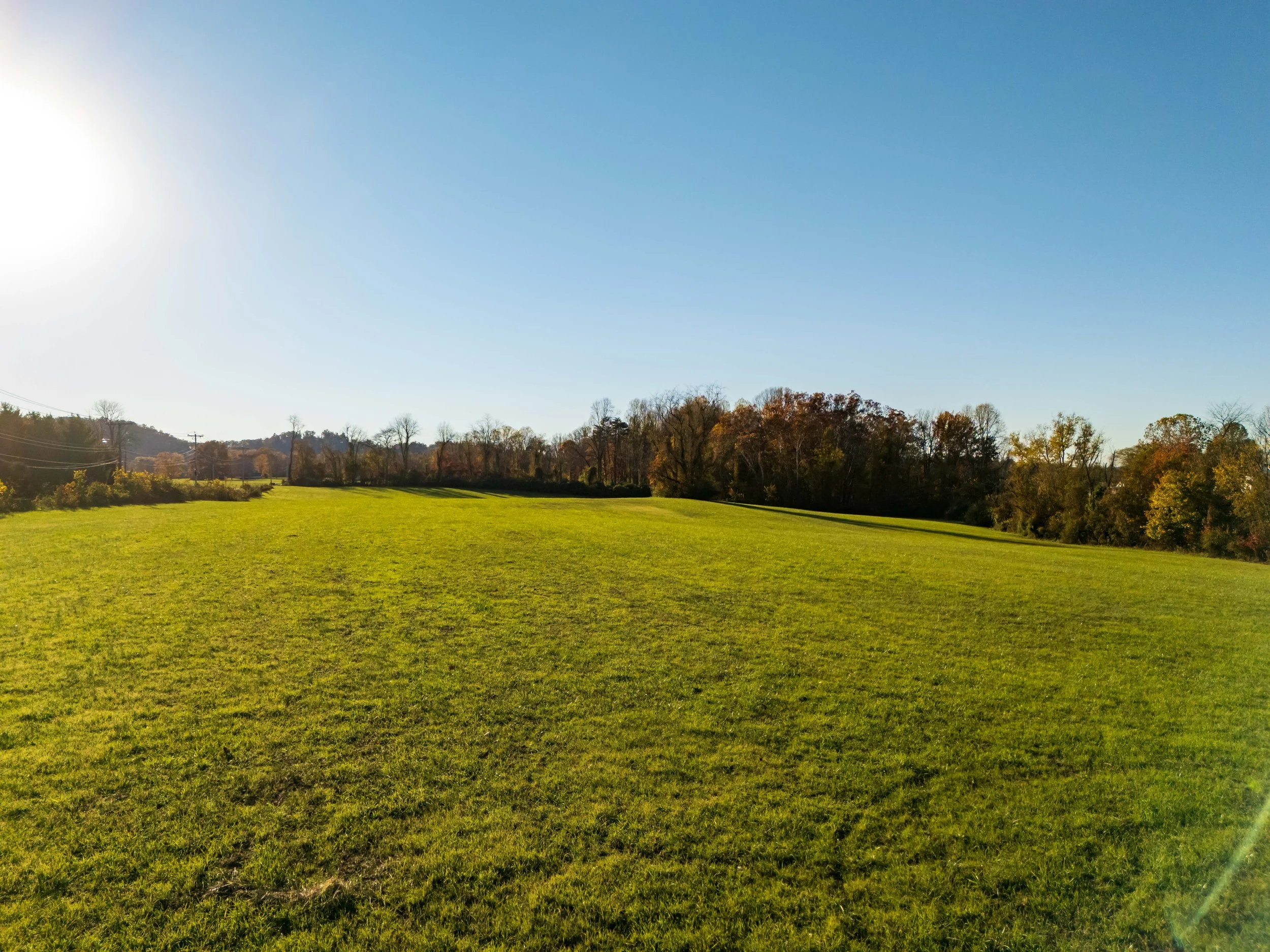 11.8.25 - 388 Kanawaha trail -17.JPG