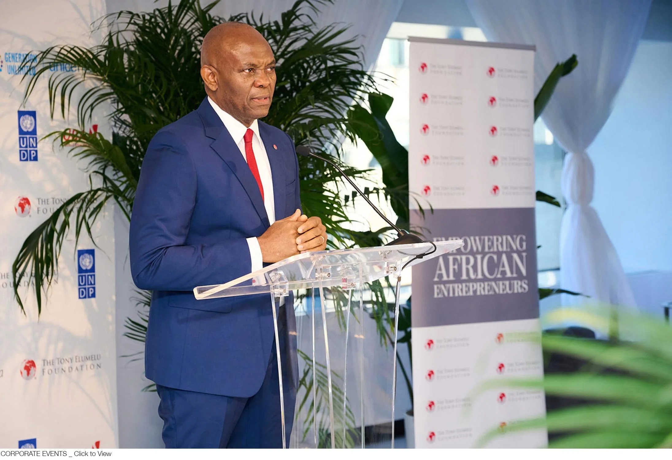 A man in a blue suit with a red tie speaking at a podium during a conference event about empowering African entrepreneurs, with a backdrop displaying logos of UNDP and The Tony Elumelu Foundation, and lush green plants nearby.