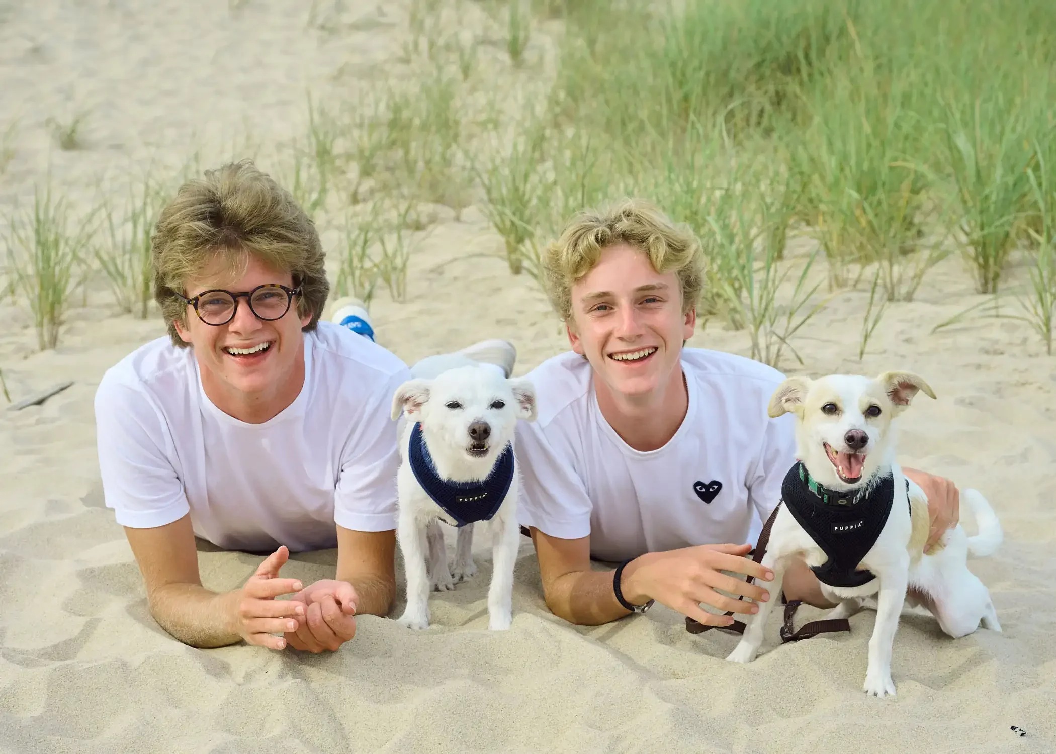 Family photographs of. two young men with blond hair and glasses in white t-shirts, lying on sandy beach, smiling, with two white dogs.