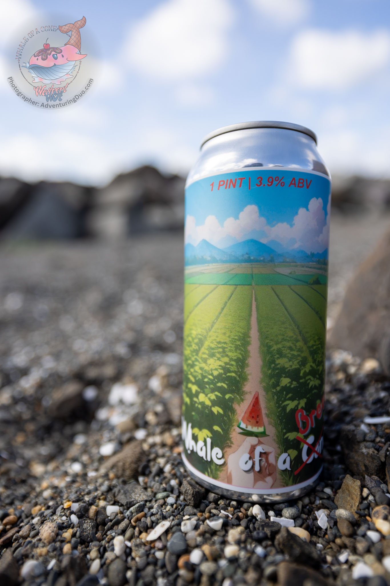 A can of watermelon flavored beverage with a landscape illustration of mountains and fields on a gravel ground with a cloudy sky above.
