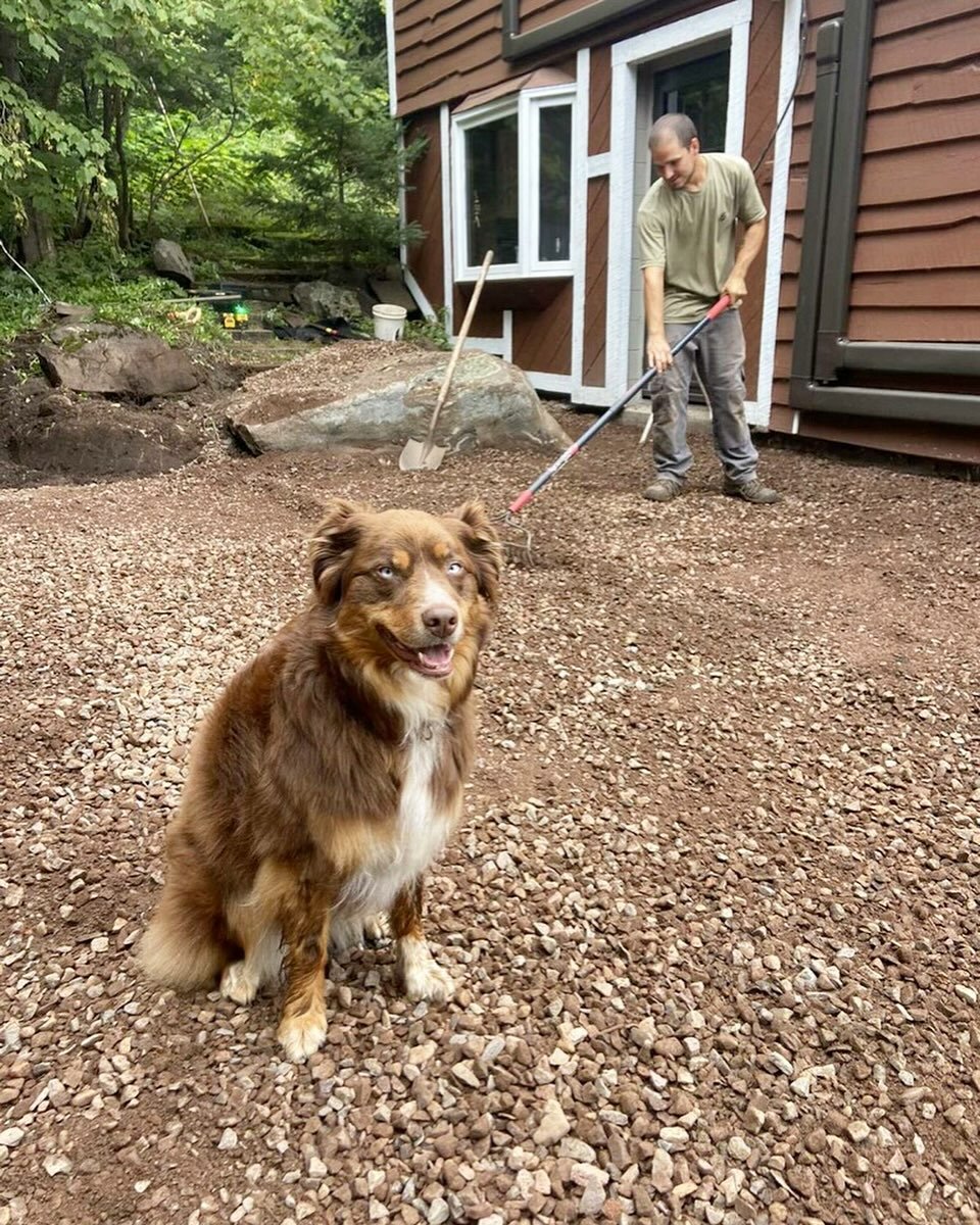 Job site supervisor, Poppy, making sure the base is level! Happy #nationaldogday 🐶

#landscapeconstruction #jobsitepics