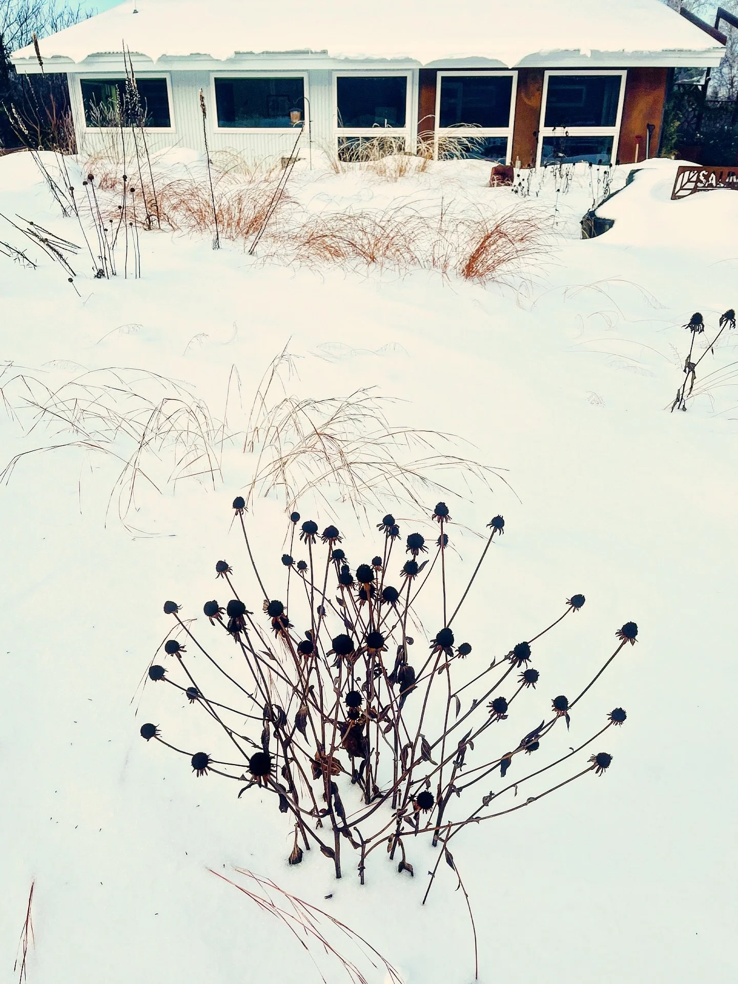 Let&rsquo;s talk about gardens in winter. The payoff of planting with all four seasons in mind means beauty that doesn&rsquo;t retreat when the temperatures do.

There&rsquo;s a quiet expression in a winter garden and it&rsquo;s on display for those 