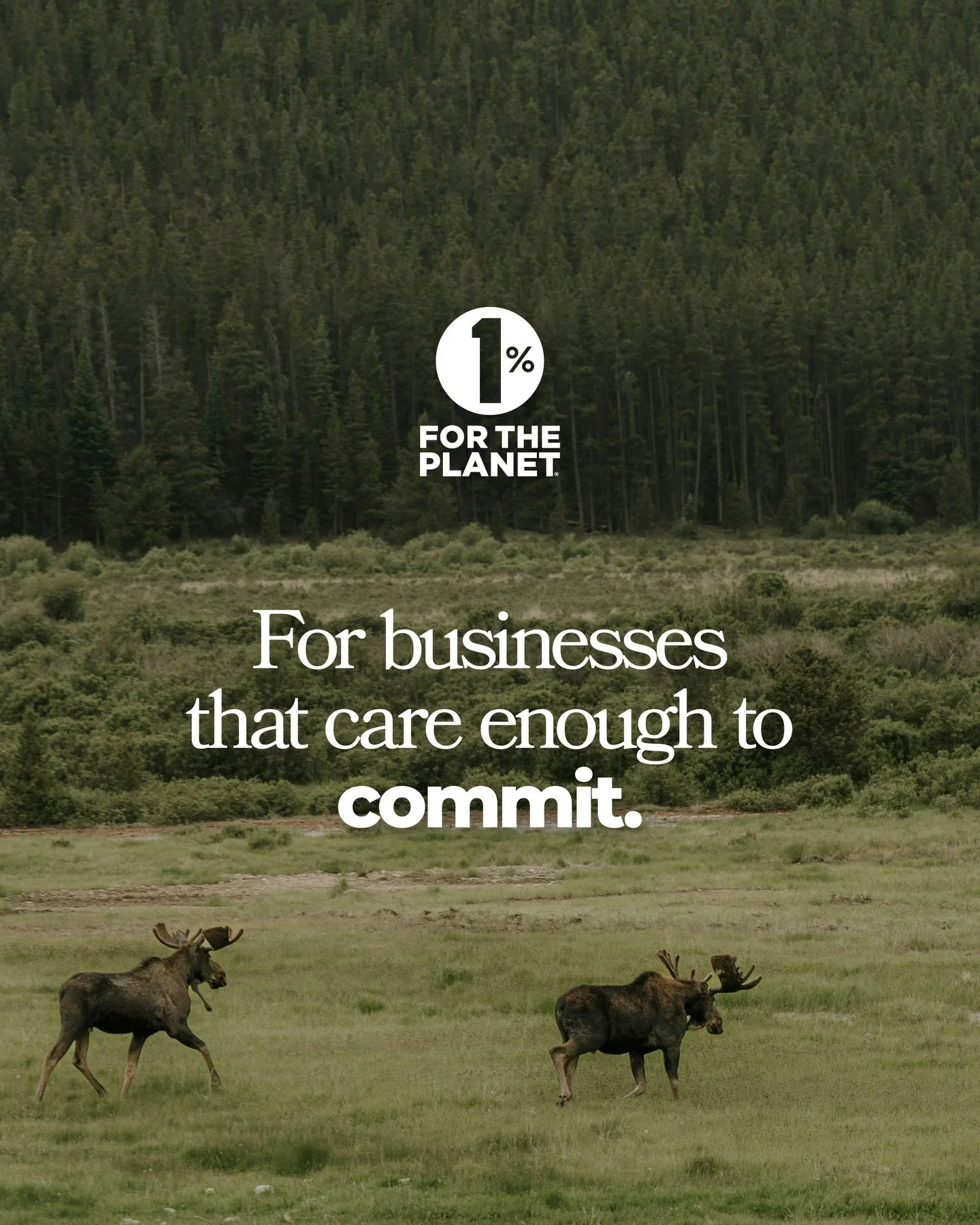 We did it ⚡️ We put our money where our mouth is. In 2025 Saline Landscape Company committed to give 1% of our total sales BACK to our community - through @1percentftp - and there&rsquo;s no better time to share with you than Earth Month! 🌎

 🌱Beca
