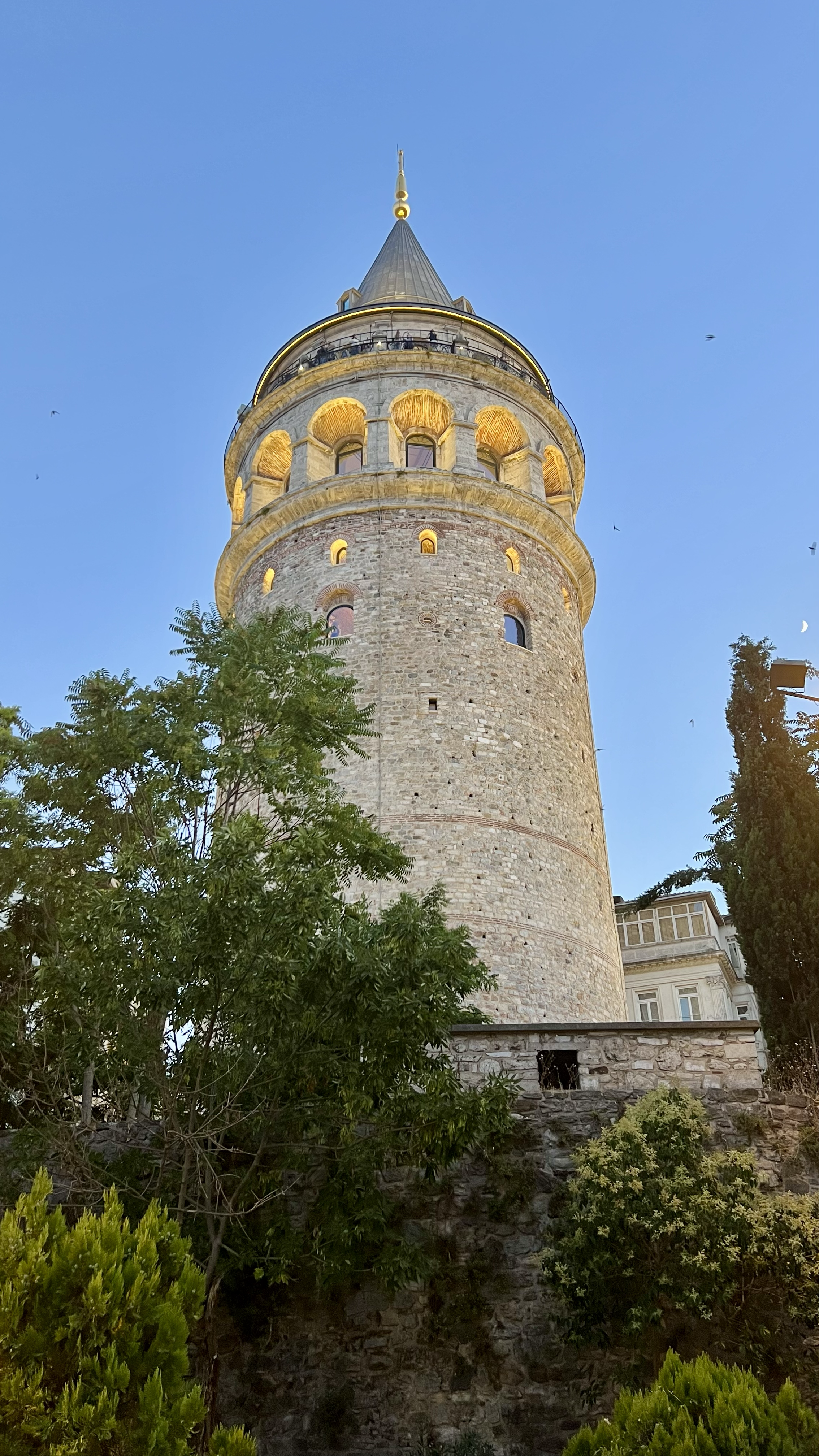 Galata Tower in Istanbul during dusk, with a clear sky and surrounding green trees.