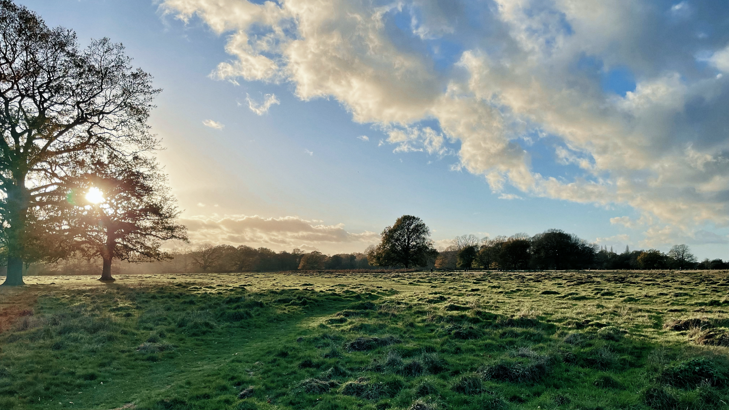 A landscape of open grassy field with a few scattered trees under a partly cloudy sky, with the sun shining through the branches of one large tree on the left.
