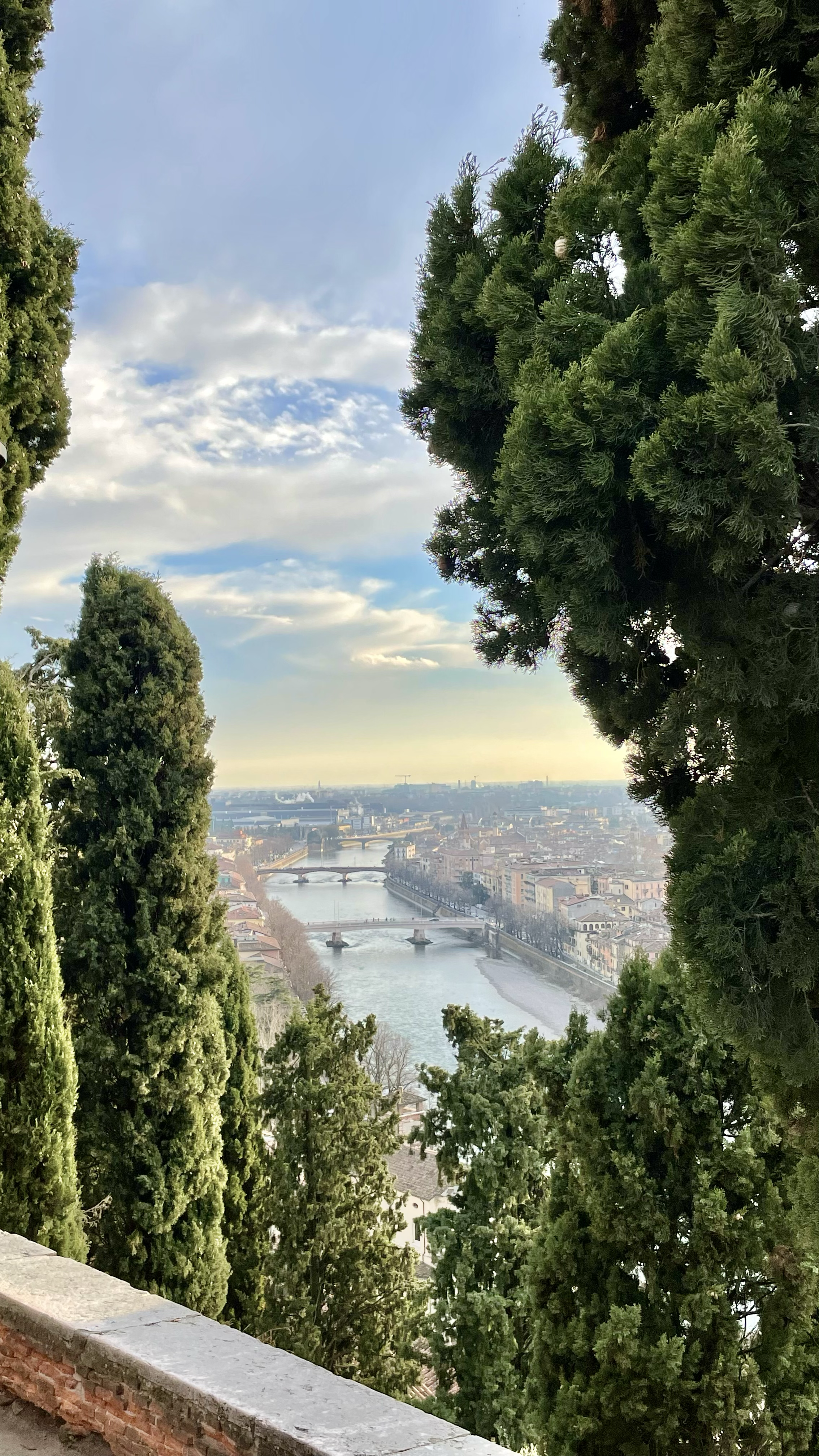 View of a river with bridges and city buildings through trees on a cloudy day.