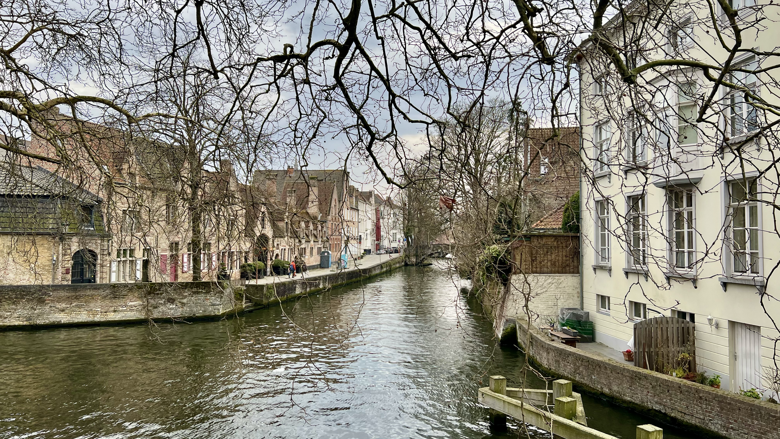 A canal lined with buildings and trees, with bare branches in the foreground and a partly cloudy sky.