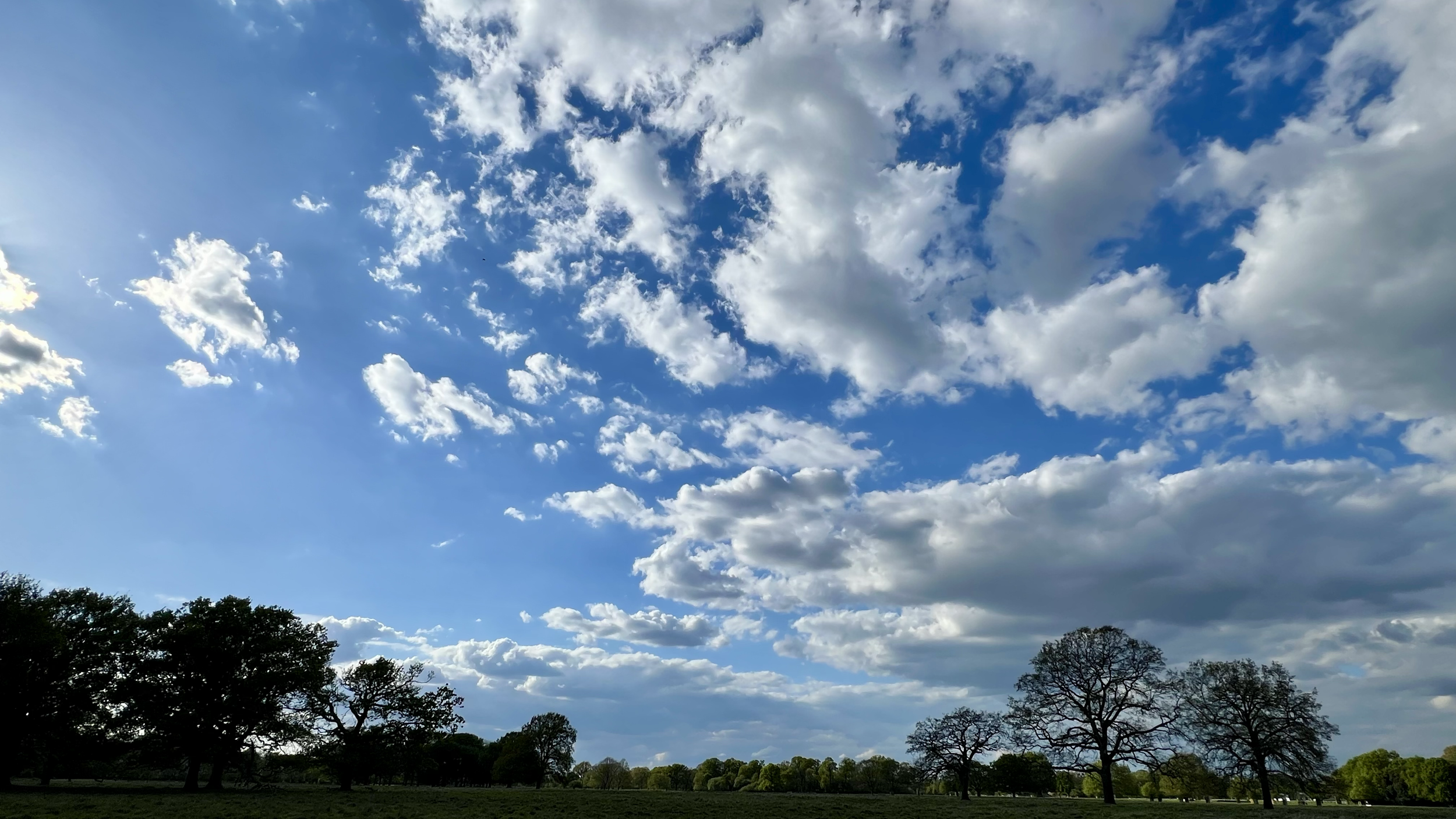 A landscape with a wide blue sky filled with scattered white clouds above a field with silhouette trees.