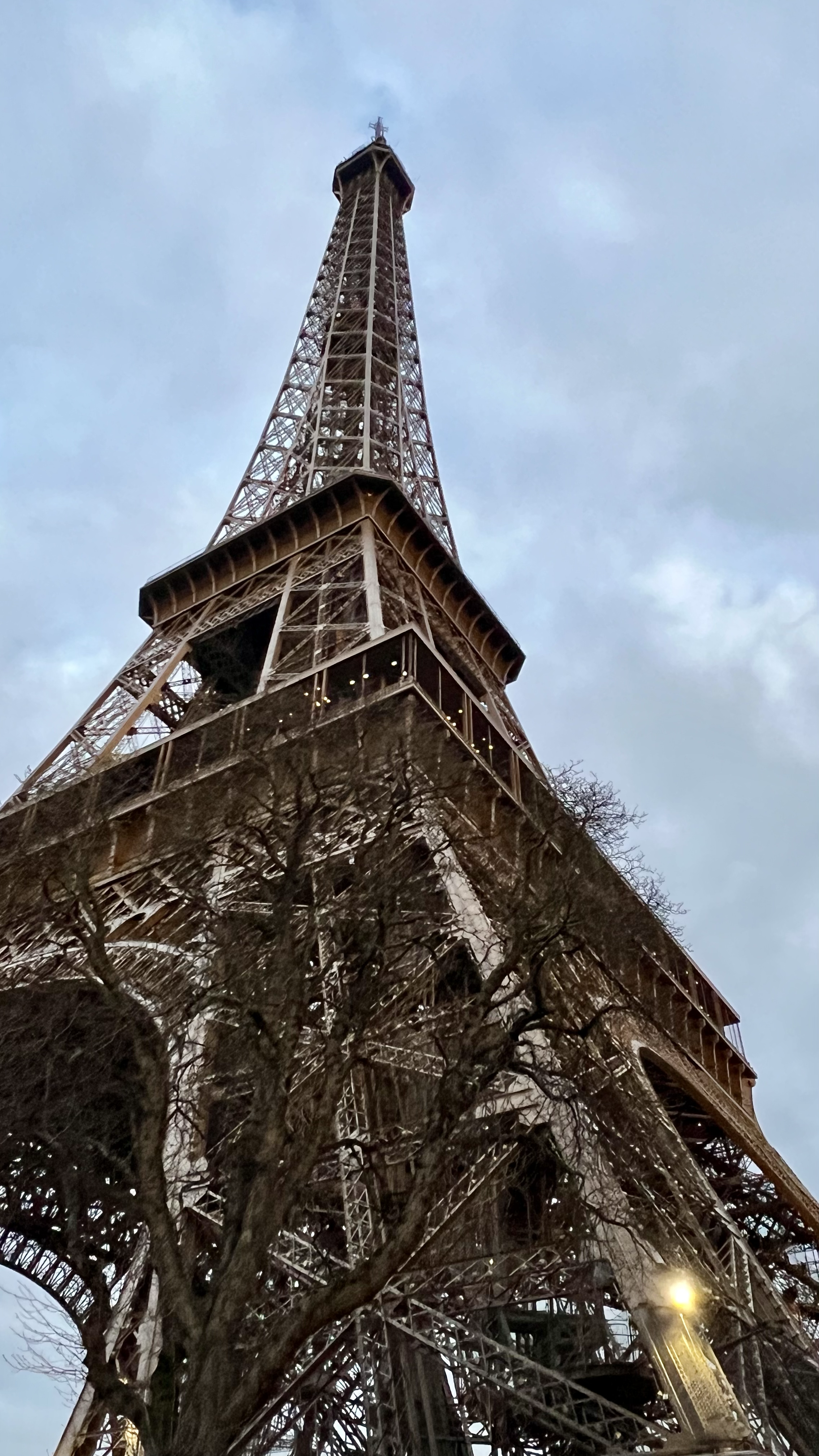 Near Eiffel Tower with leafless tree in foreground and cloudy sky in background.