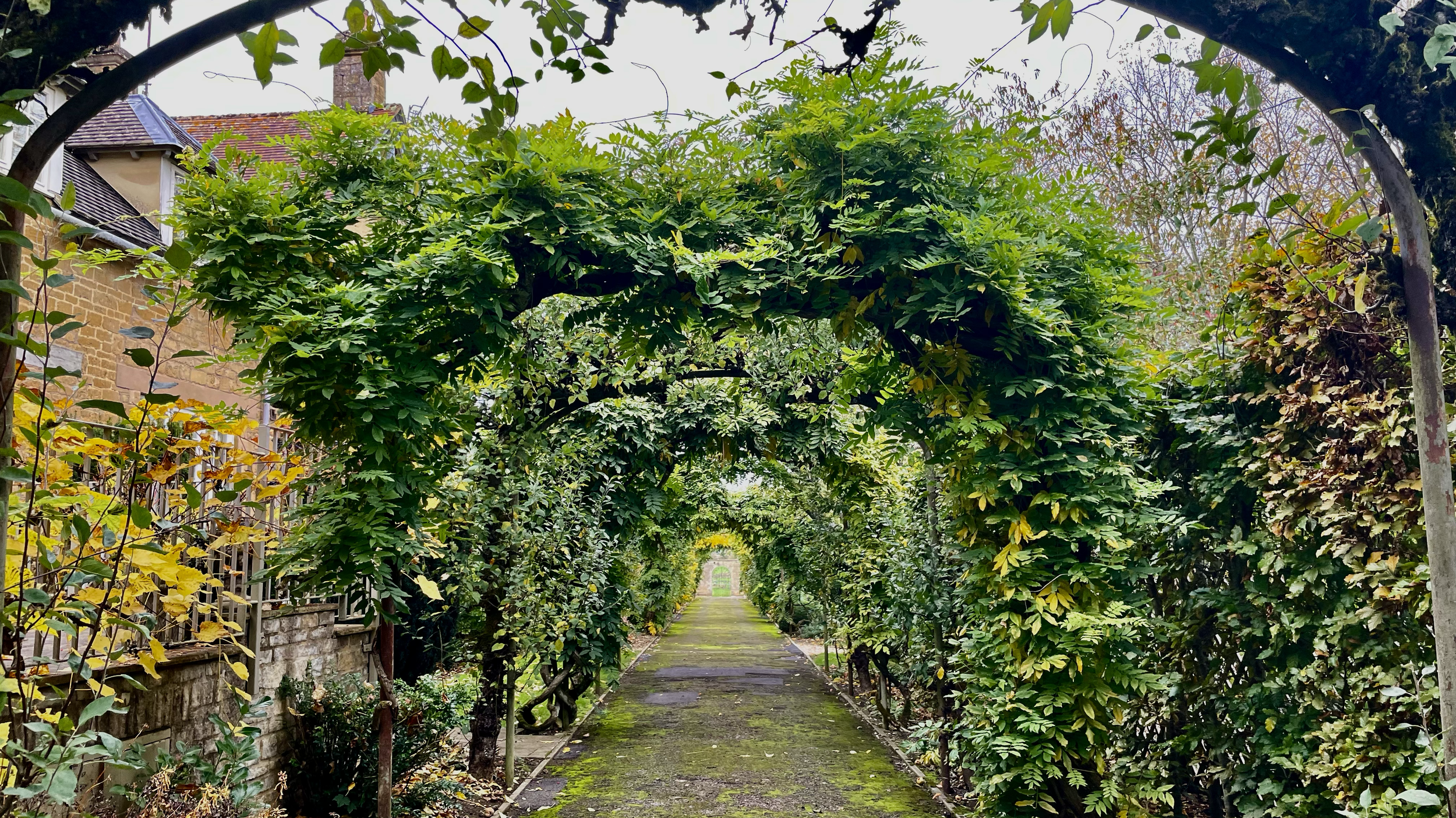 A garden pathway covered with green moss and framed by lush green arches and bushes, leading to a distant gate.