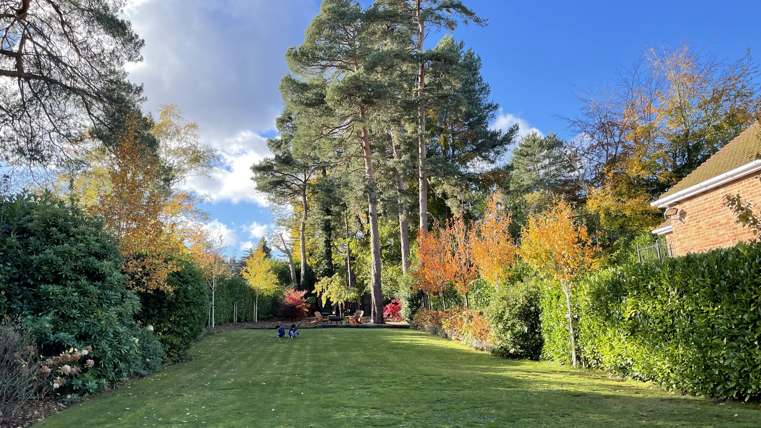 A lush green backyard with well-manicured grass and a variety of trees with colorful fall foliage. In the distance, there are wooden outdoor chairs and a table, with a bright blue sky and some clouds overhead. Part of a brick house with a gutter and 