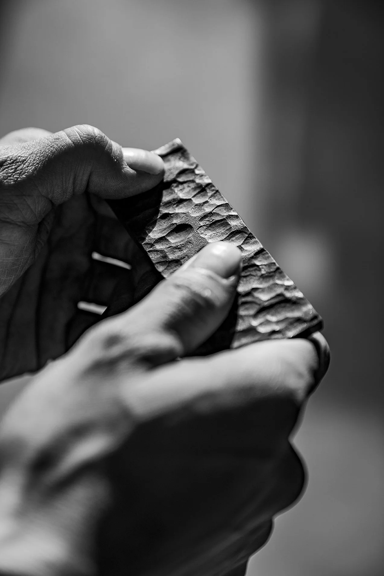 romain_chambodut_photographe_aurige013.jpg