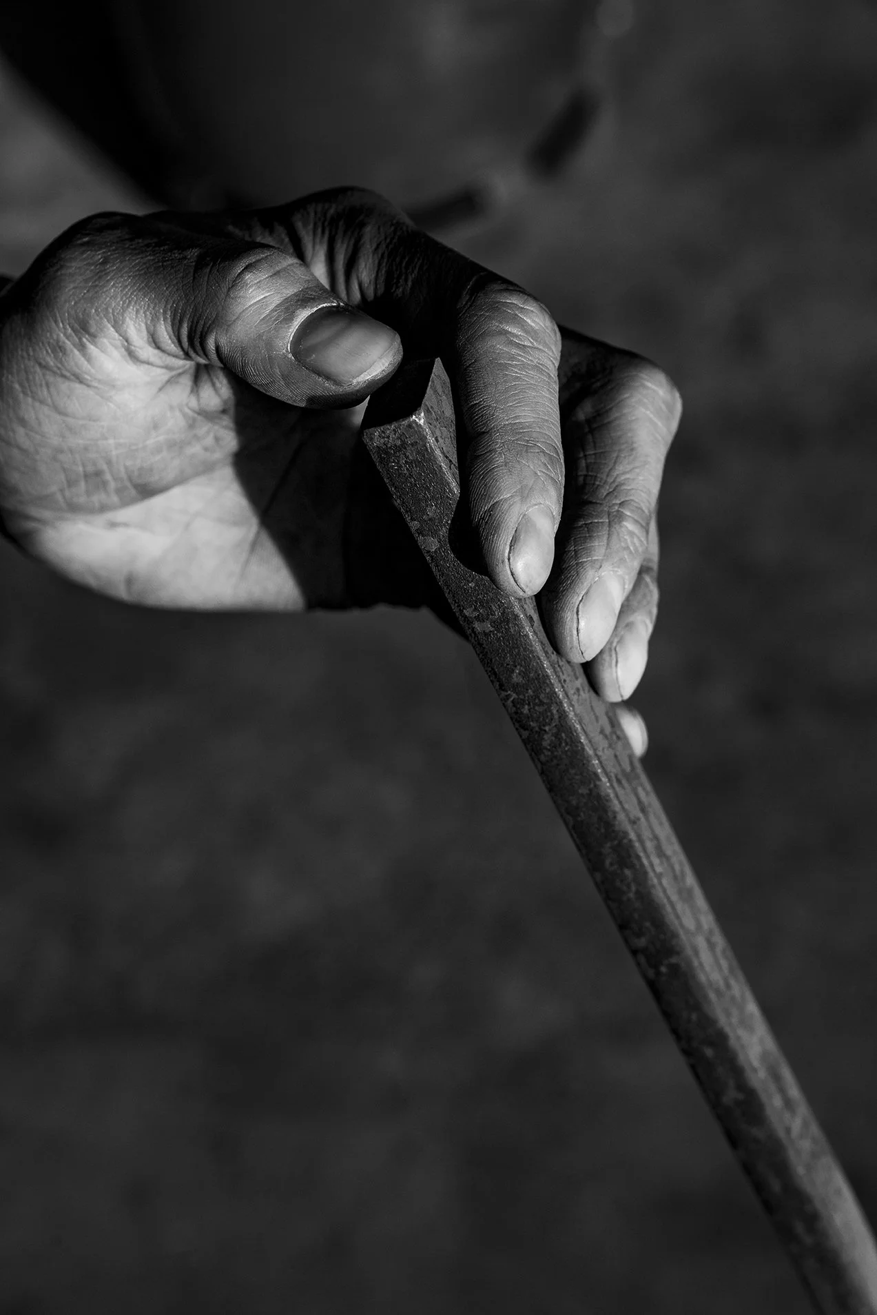 romain_chambodut_photographe_aurige012.jpg