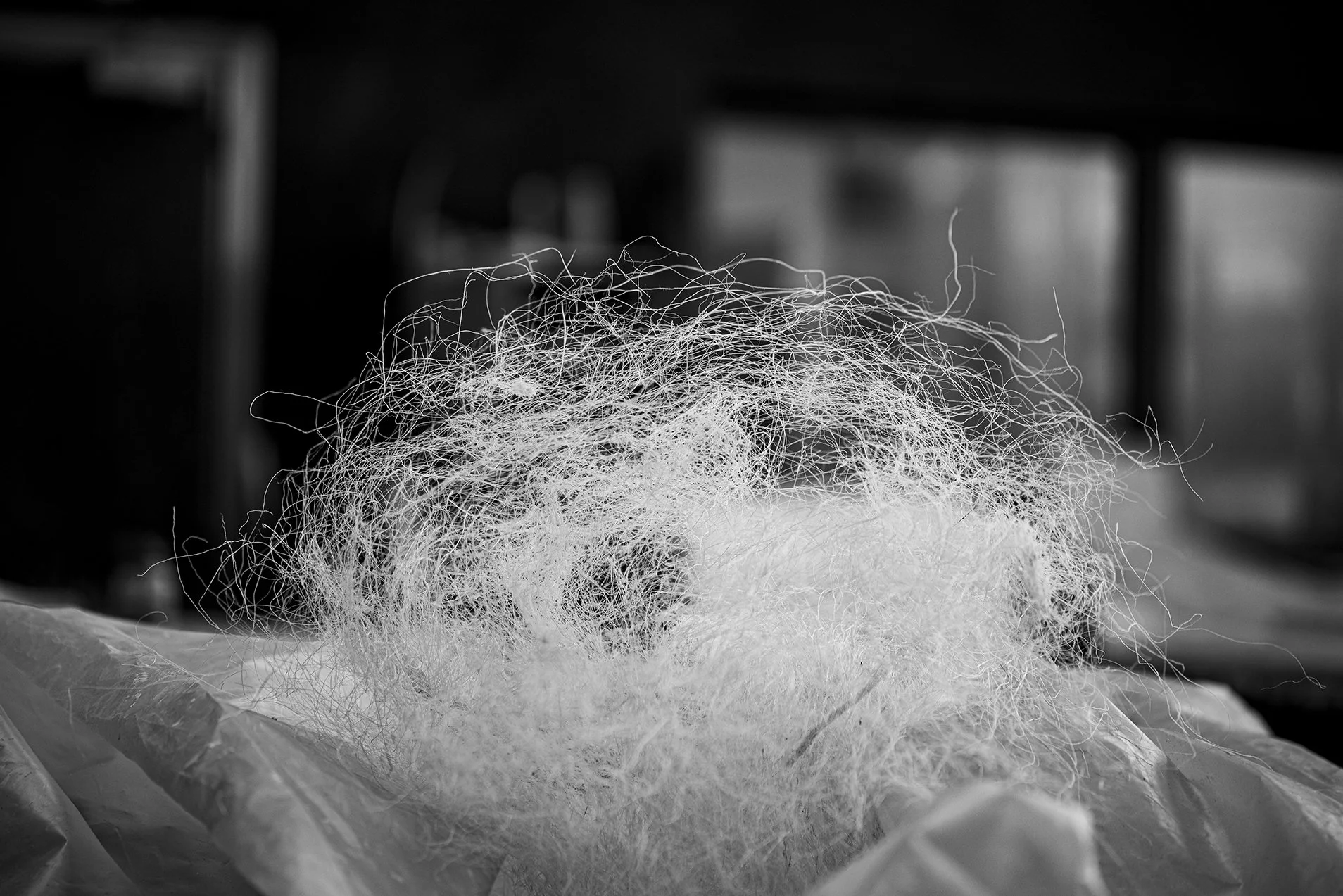 romain_chambodut_photographe_aurige027.jpg