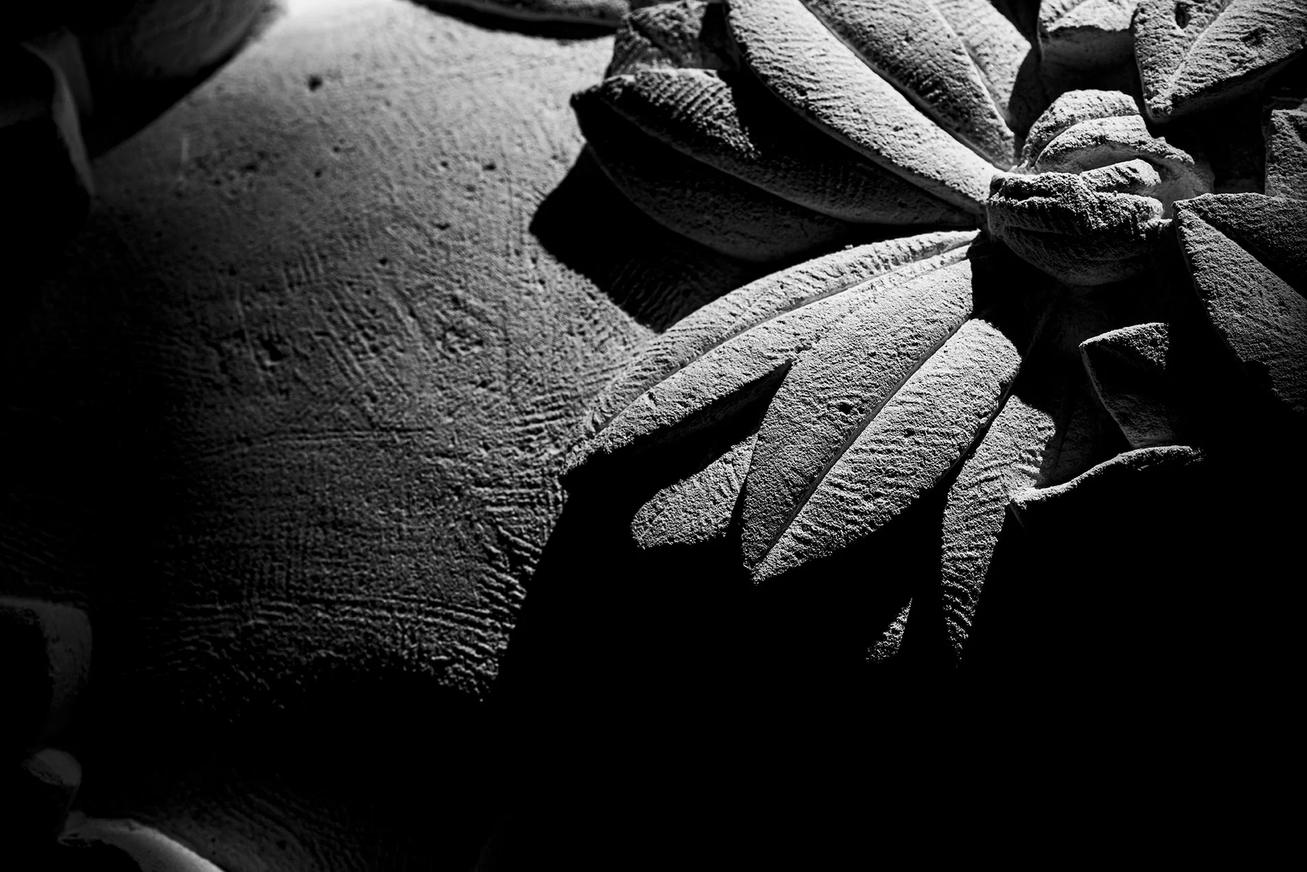 romain_chambodut_photographe_aurige031.jpg