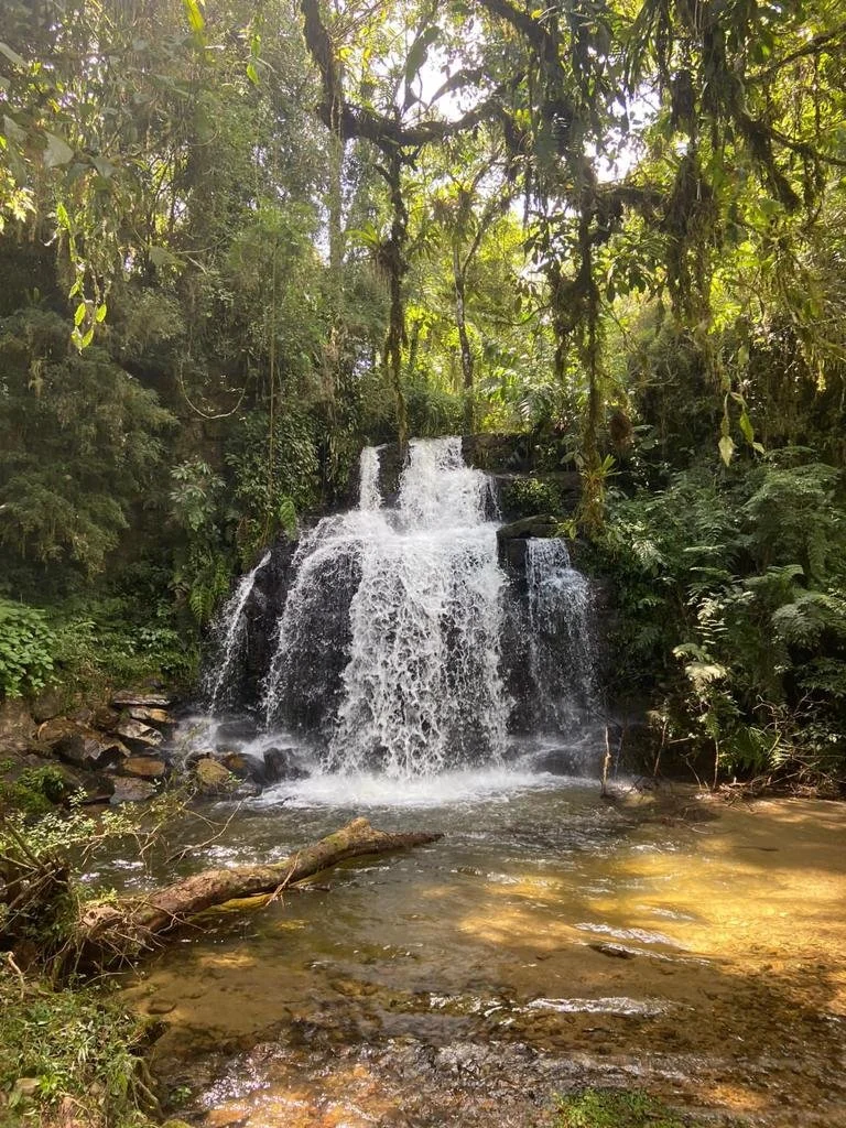 WhatsApp Image 2025-10-18 at 08.59.31.jpeg