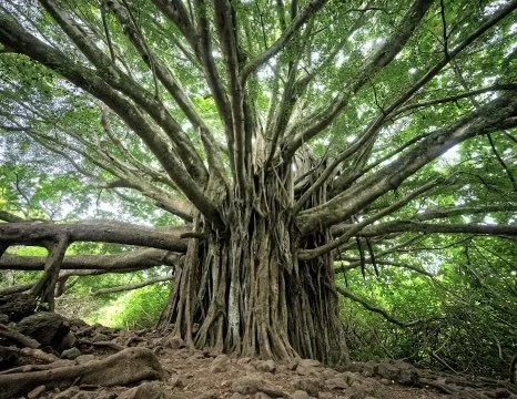 Reclaiming Our Ancestral Healing Roots: The Power of Storytelling