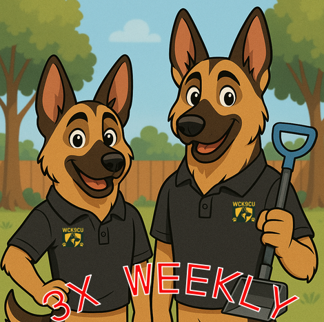 2 dogs - 3x weekly2 final with logo.png
