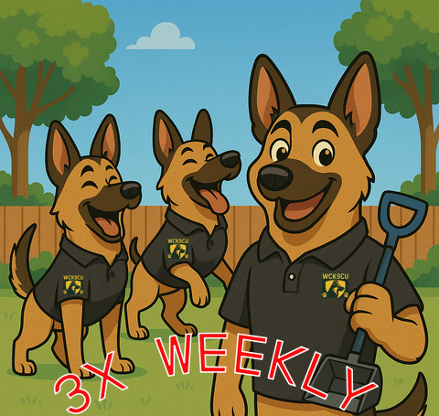 3-4 Dogs - 3x Weekly