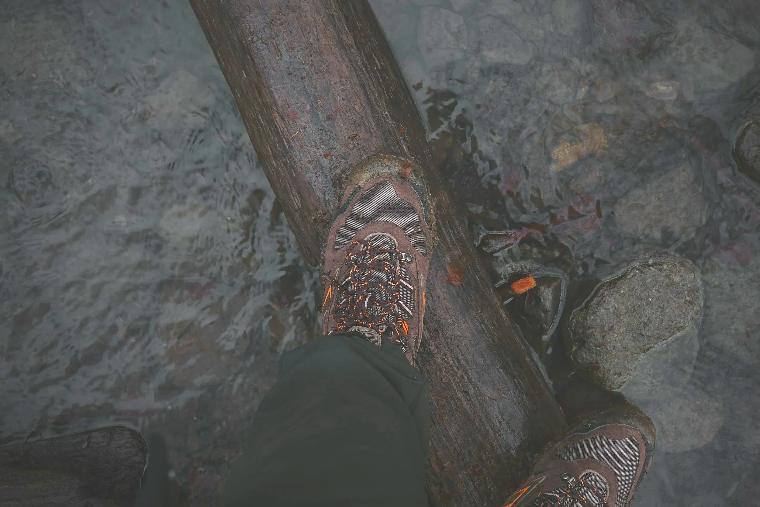 Student Profile: Gayle’s Journey