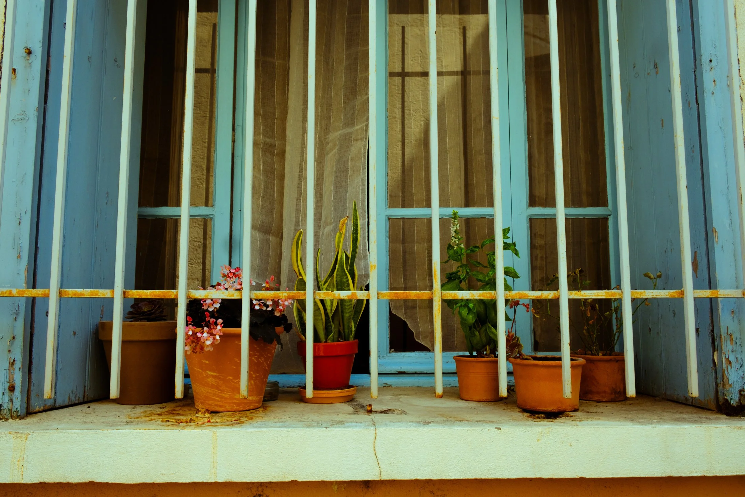 DSCF8418.jpg