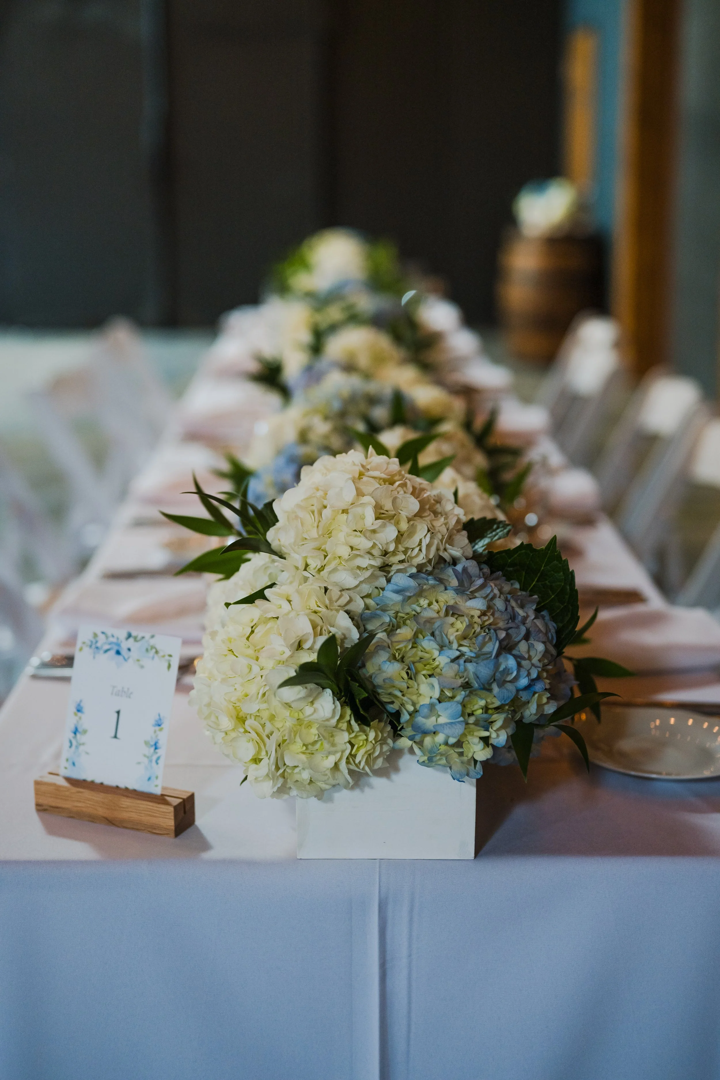 Amanda Dudzik Photography