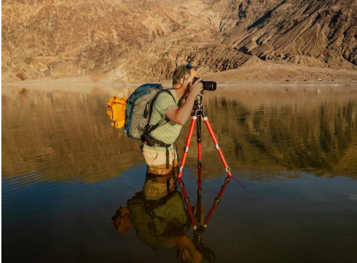 Artist's Reception: Michael Singer