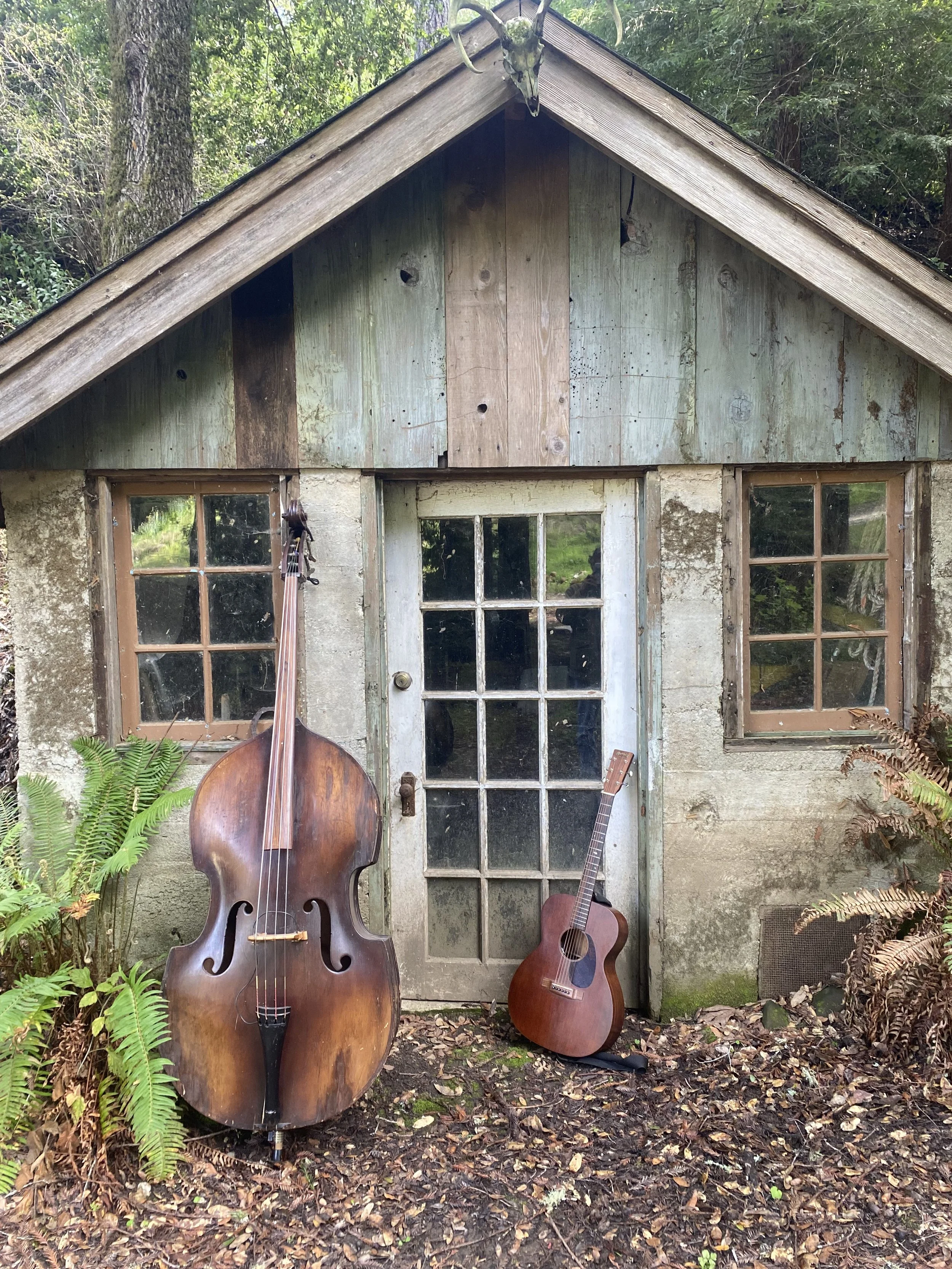 Mike's Hillbilly's Jazz