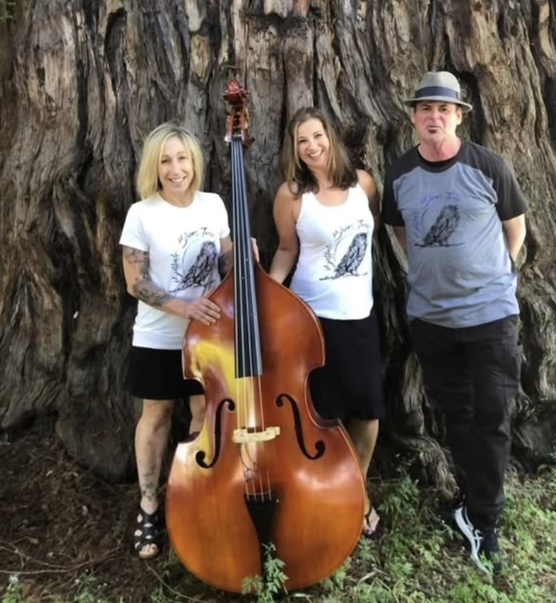 Buffalo Blues Trio 