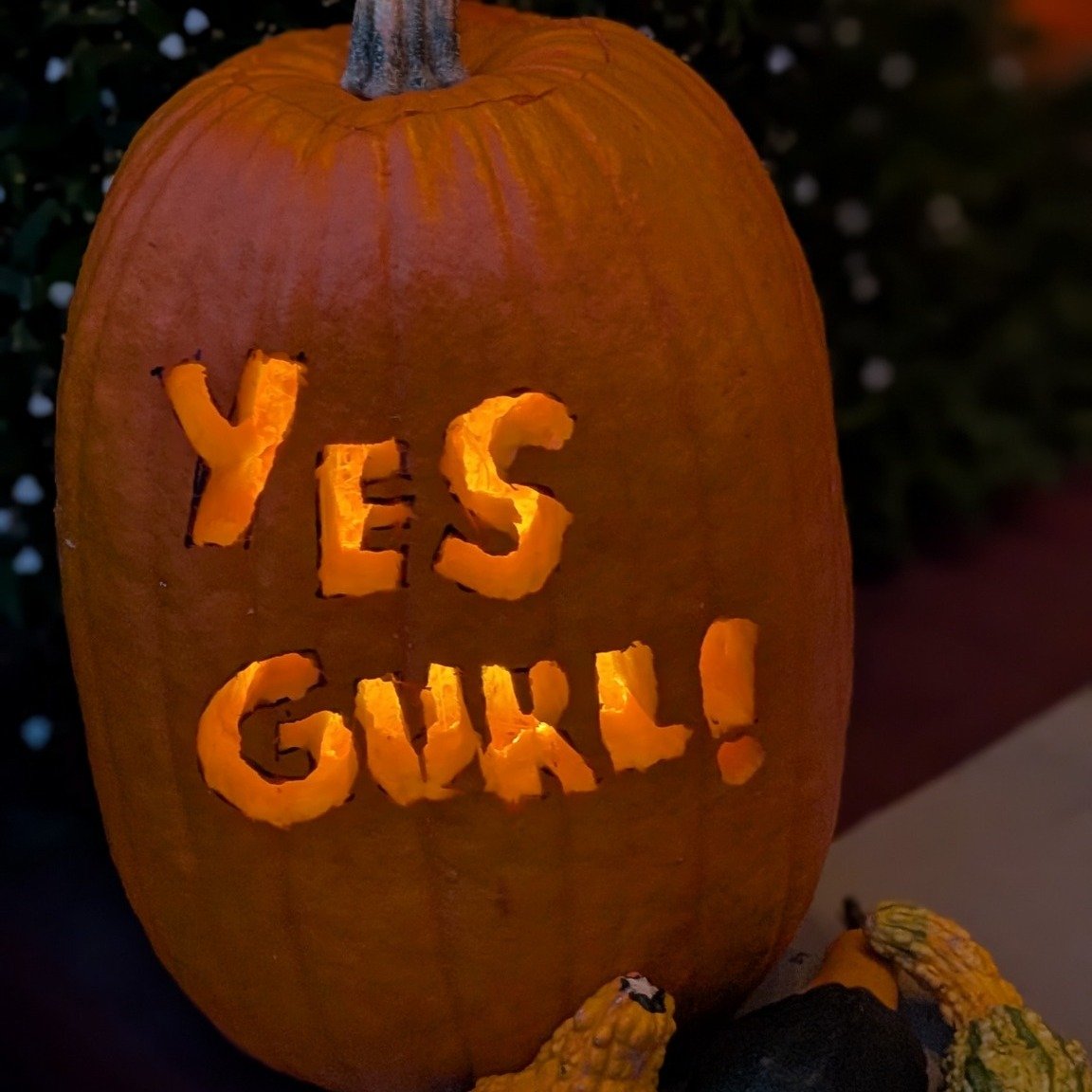 Just a little branded fall decor for the front steps. 
 #yesgurl #falldecor #fall #fallvibes #lacrossewi