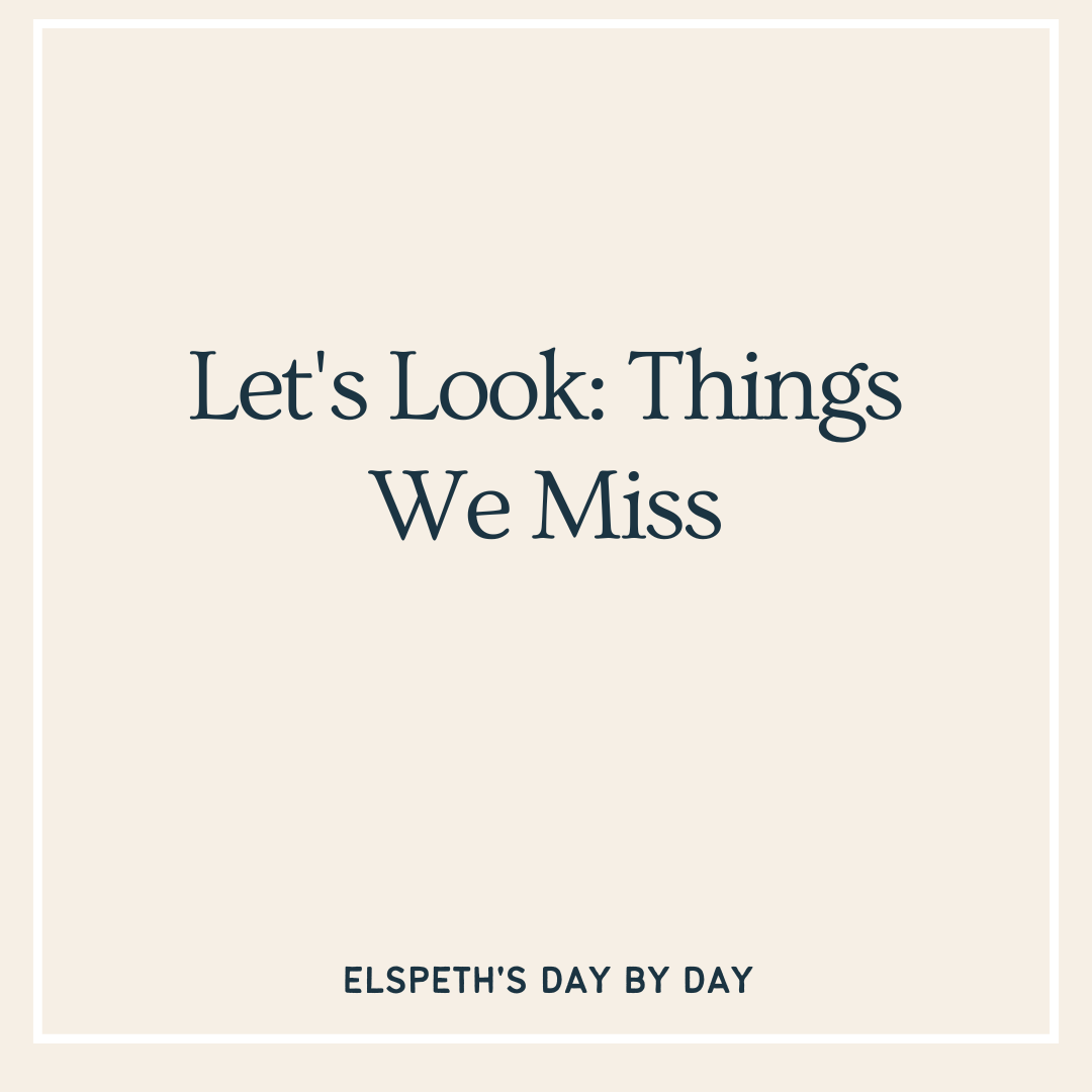 Let’s Look: Things We Miss