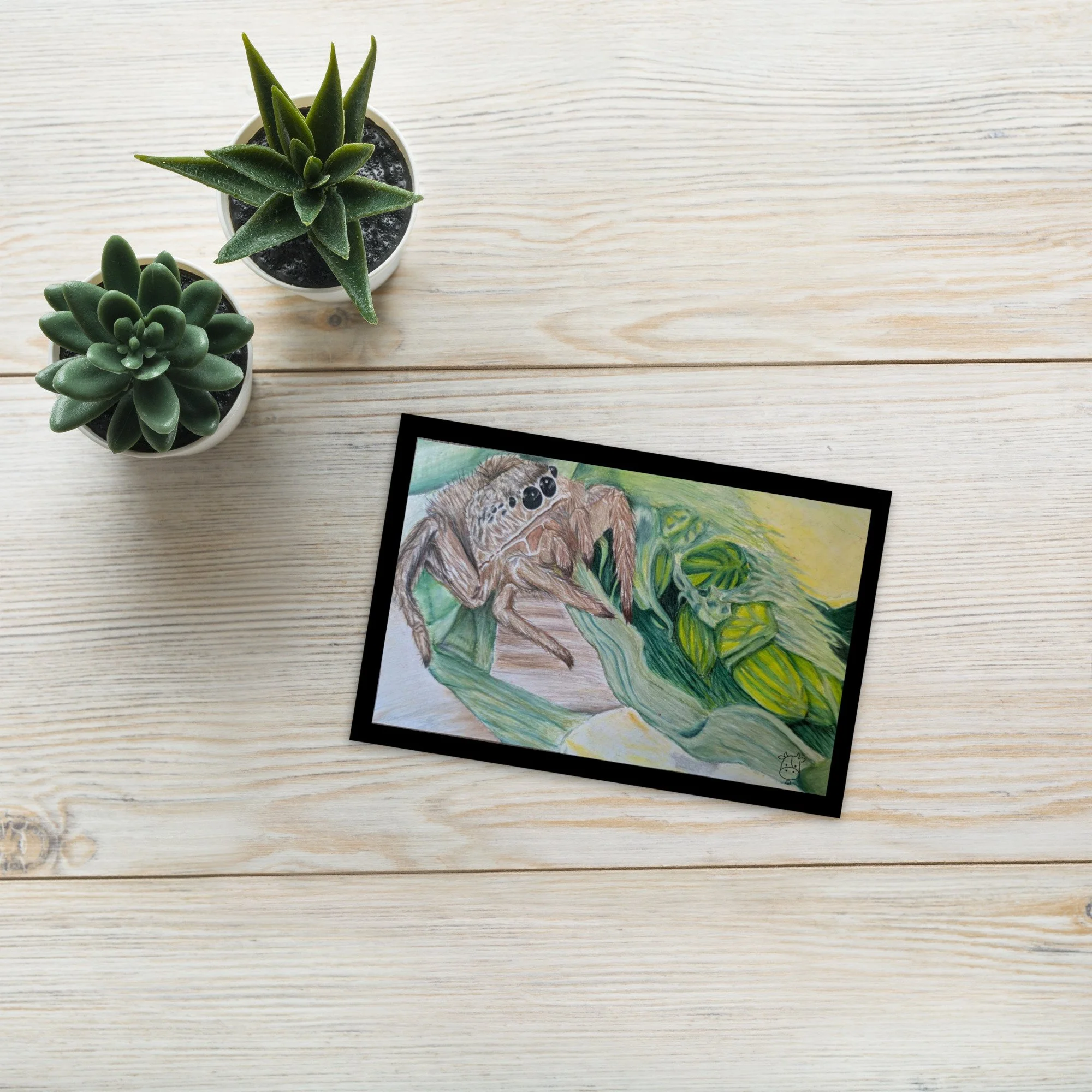 standard-postcard-4x6-front-68a2bbd23b35e.jpg
