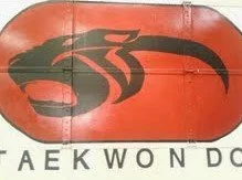 taekwondo paint.jpg
