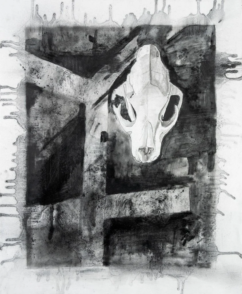 Leopard Skull on Abstract, Graphite on Bristol Board, 17 in. x 14 in., 2022