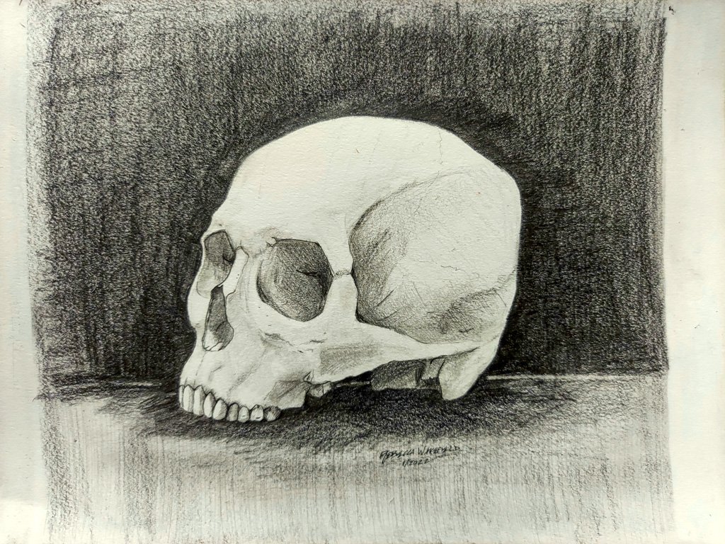 A Skull Study, Graphite on Mixed Media Canson, 2022