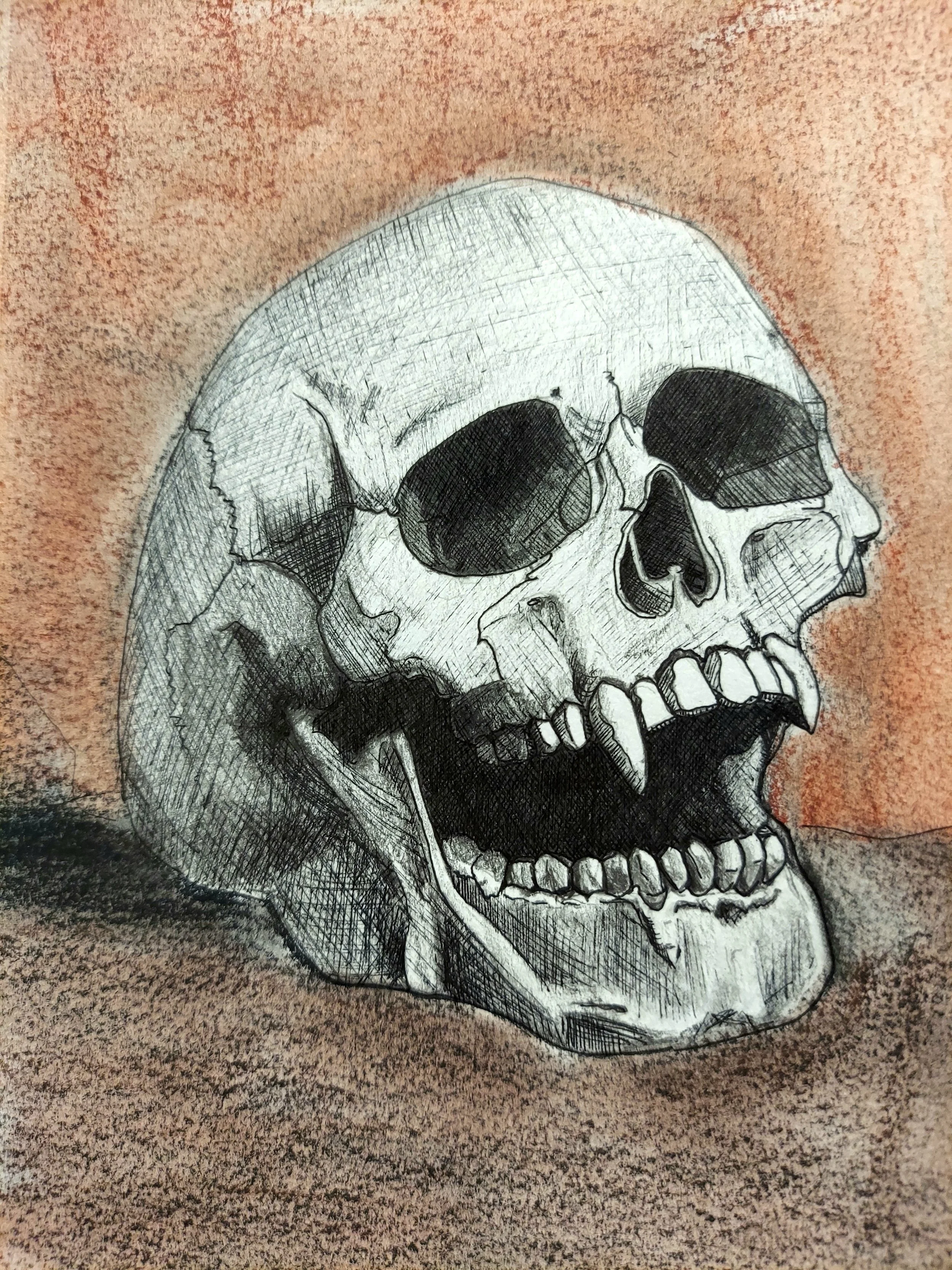 Vampy Skull, Conte and Charcoal on Mixed Media Canson Paper,  