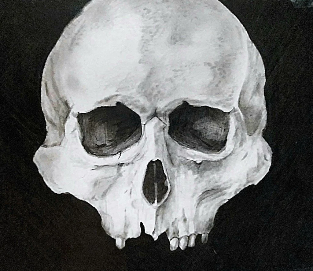 Skull in Contrast, Graphite on Bristol, 2022