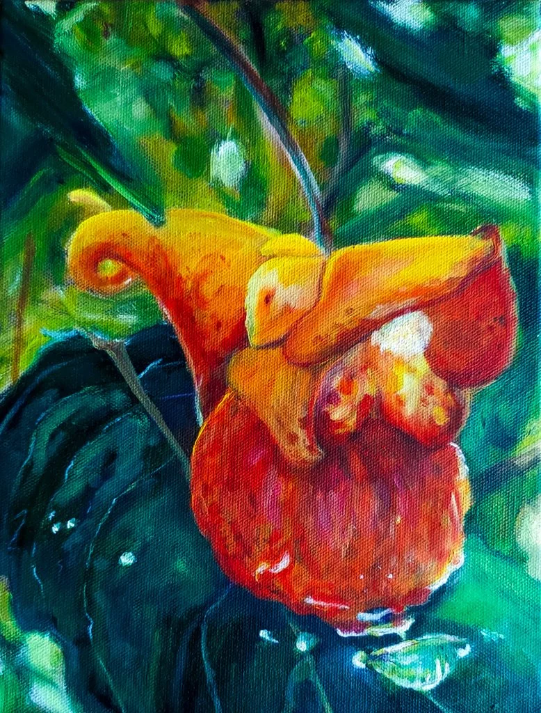 Spotted-Touch-Me-Not, Oil on Canvas, 12in x 9in, 2024