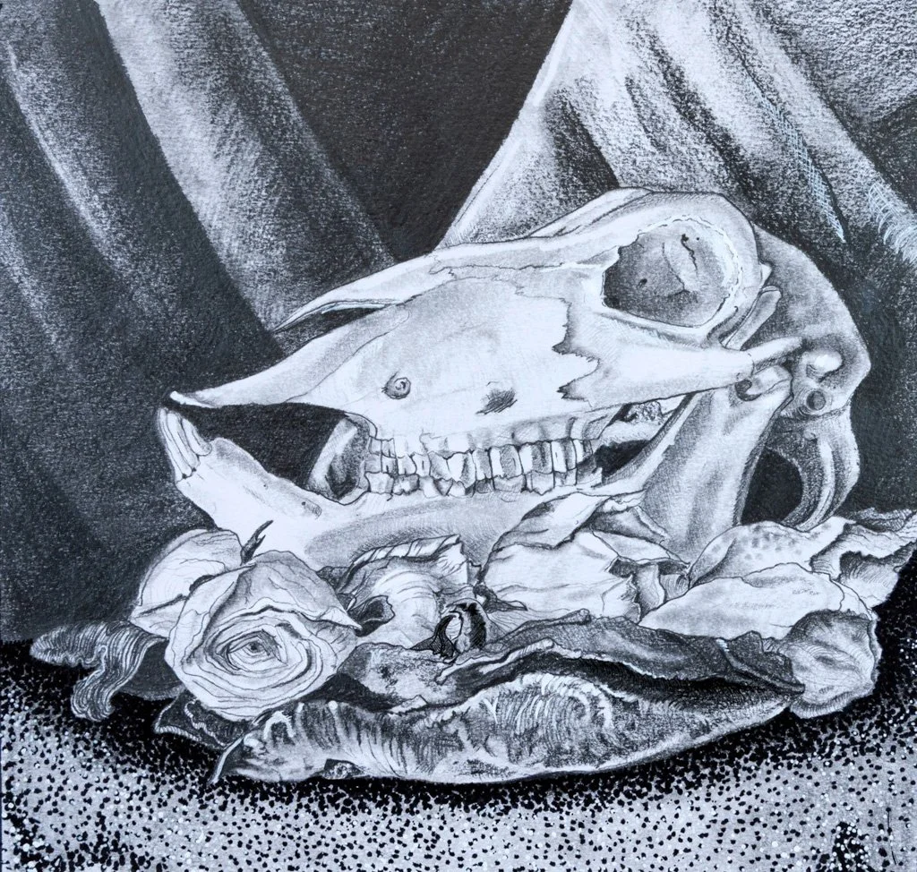 Deer and Roses, Graphite on Canson, 9 in. x 12 in., 2024