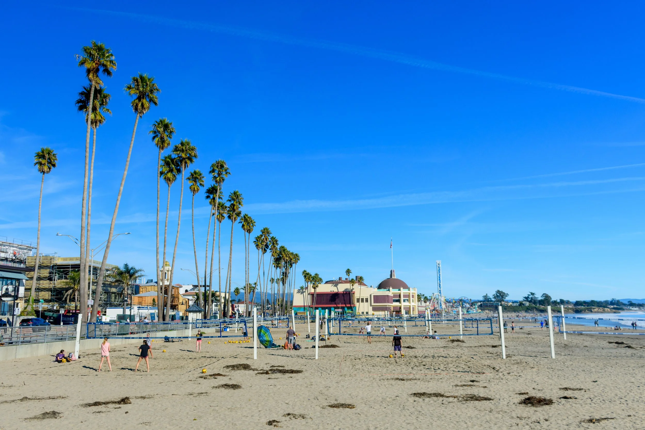 Beach with tall palm trees, volleyball courts, and a building in the background under a clear blue sky.