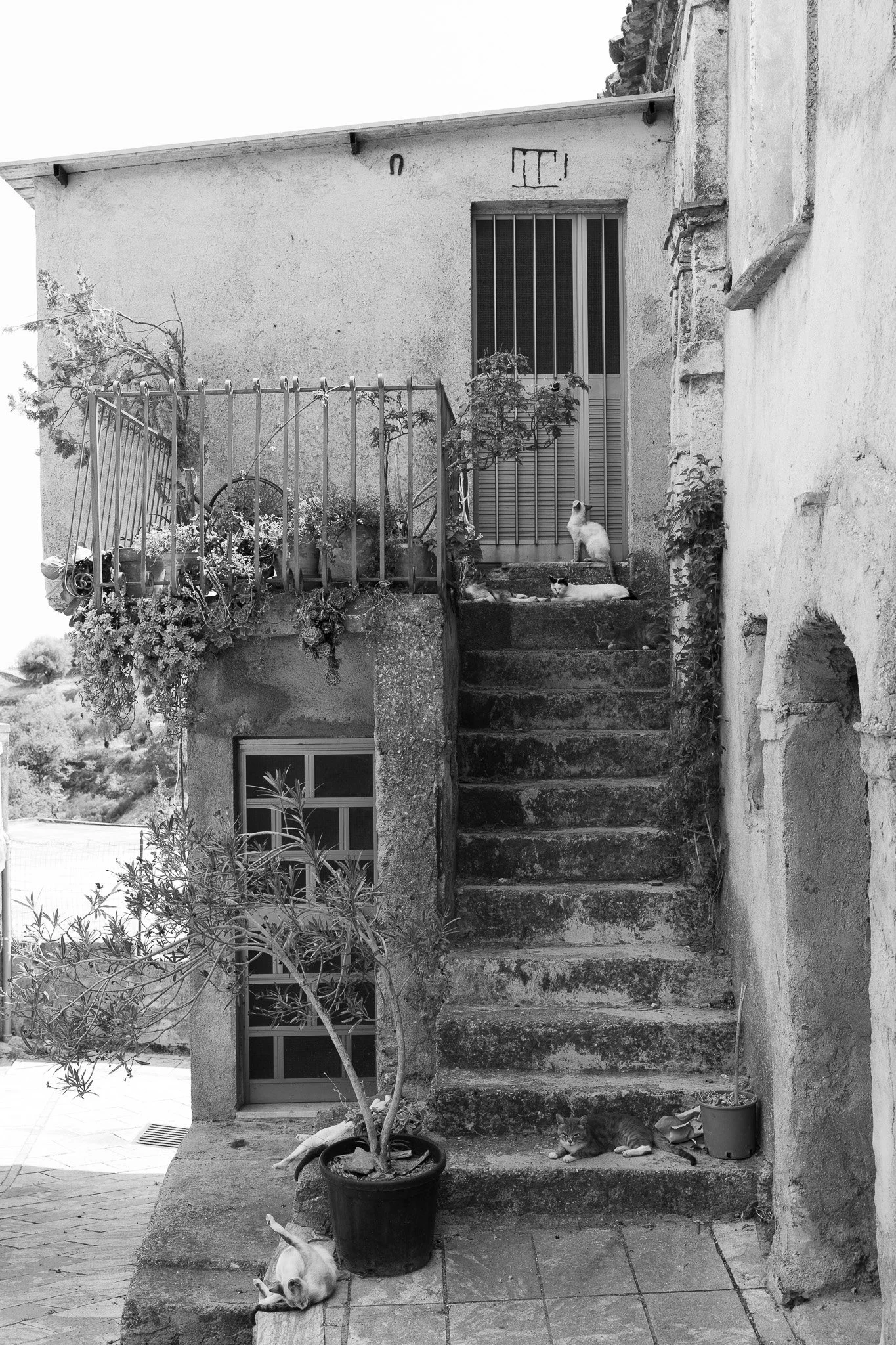 Gallicianò (RC)