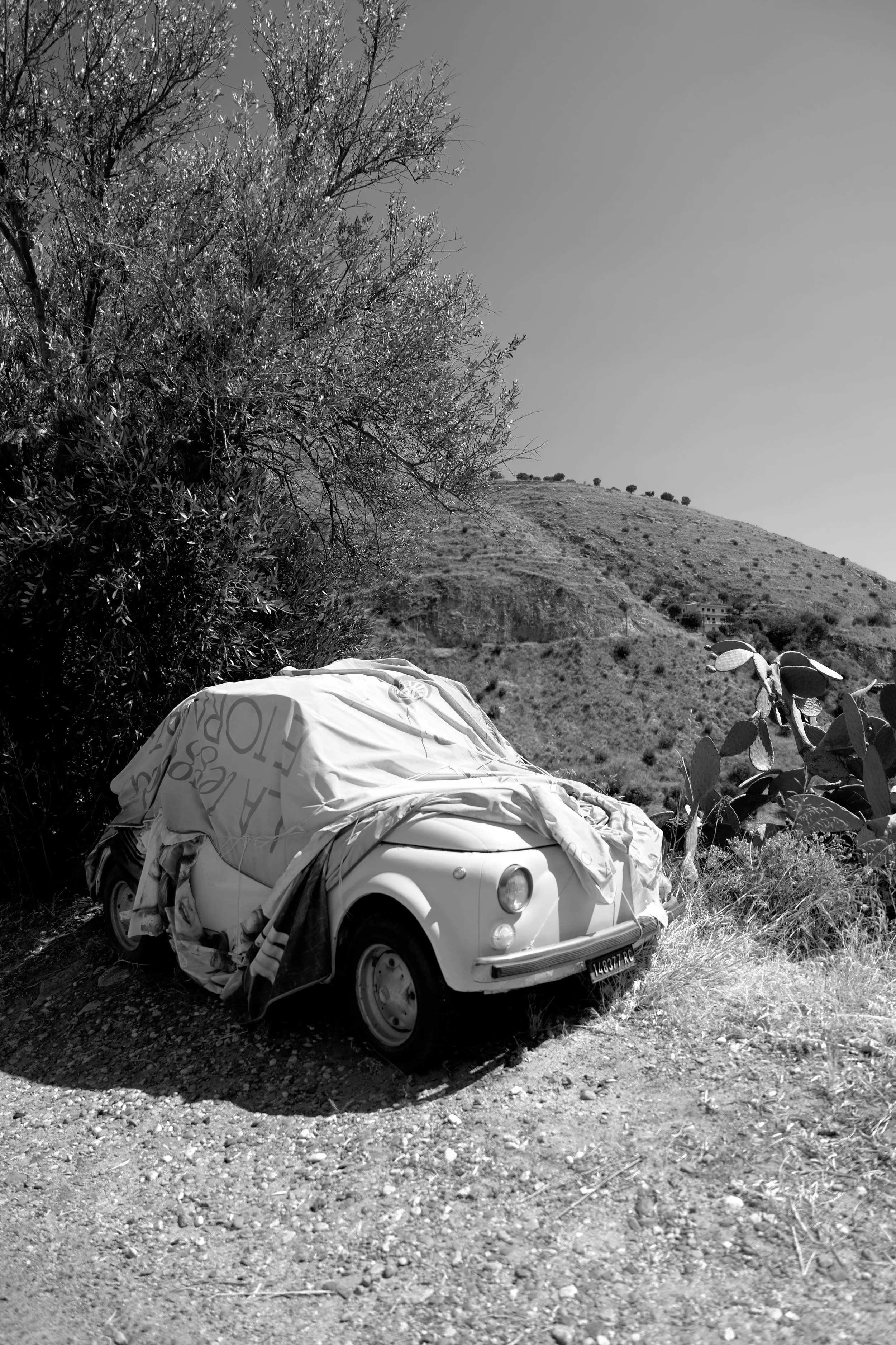 Abandoned car near Palizzi (RC)