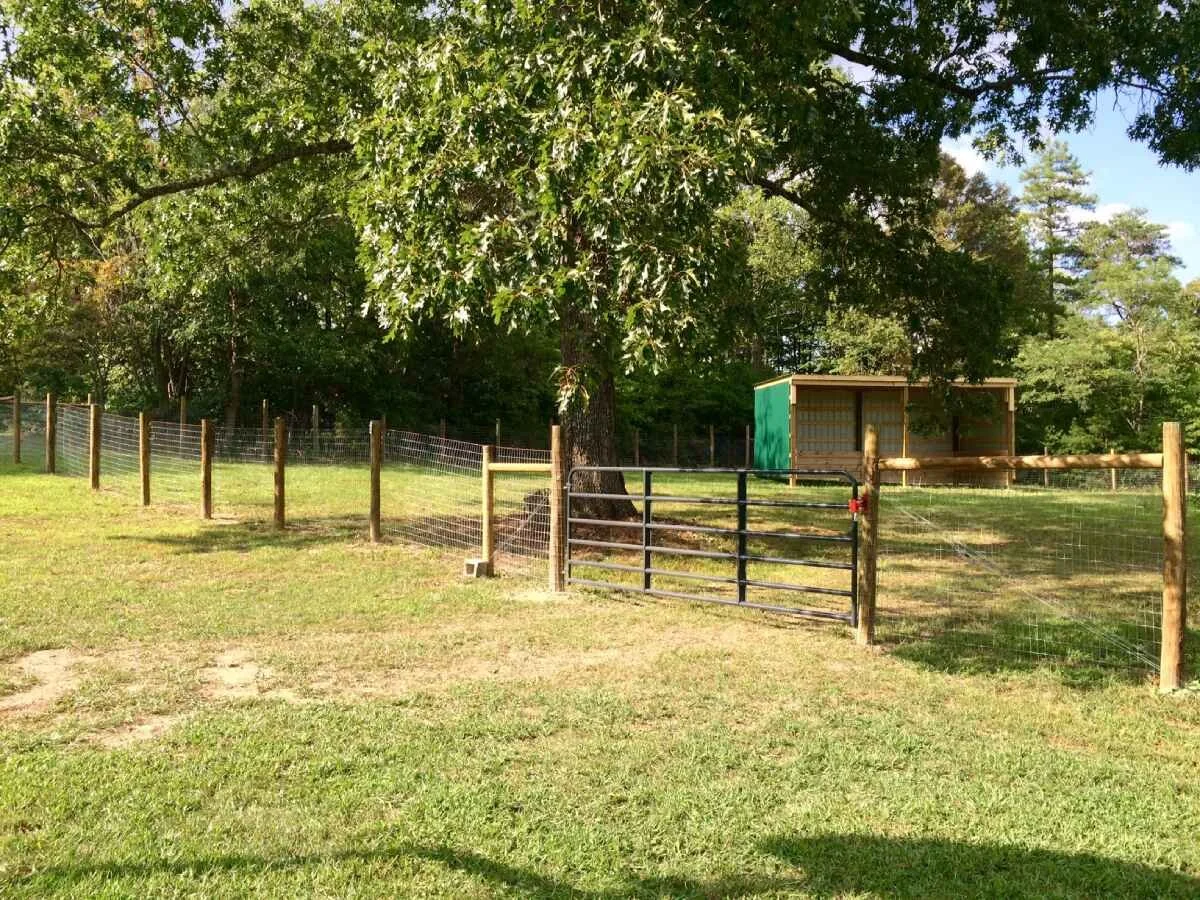 Trees, grass, fencing, and horse shelter.