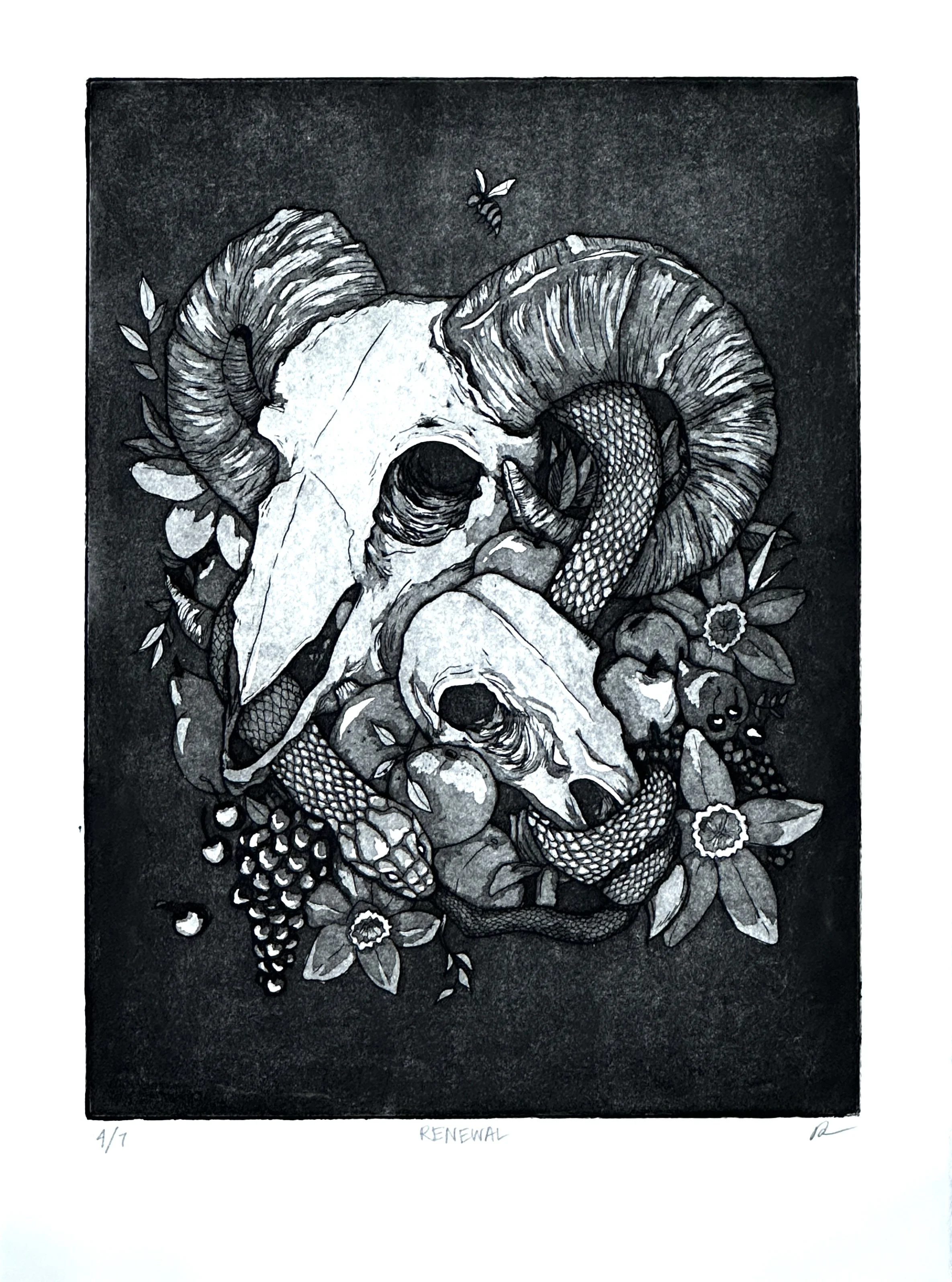 'Renewal',
Intaglio print,
2023