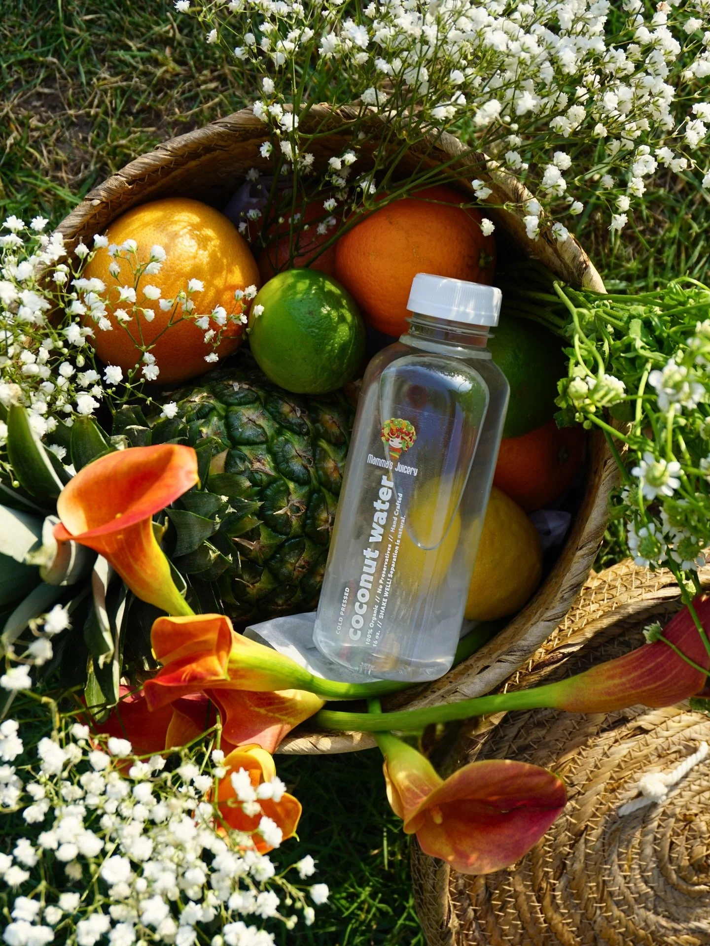 from mexico to your valentine&rsquo;s picnic

fresh coconuts, cracked daily in-house

no concentrates. no additives. just real hydration🥥