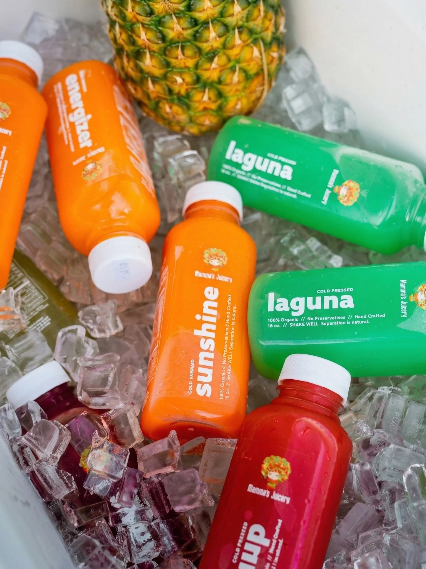 Cold pressed. Ice cold. Always fresh 🍍

From Sunshine to Laguna, every bottle at Mamma&rsquo;s is made to hit different. Clean, refreshing, and straight from the source.

Which one are you grabbing first? 👀

#MammasJuicery #ColdPressedJuice #FreshO