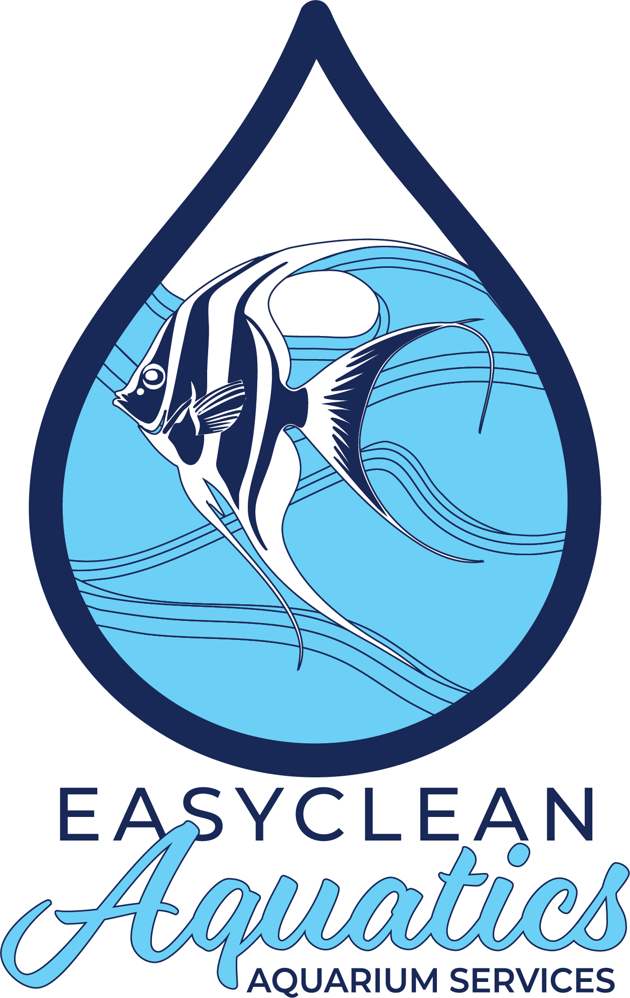 Yellowtail Damselfish (Chrysiptera parasema) Care Guide | Hardy ...