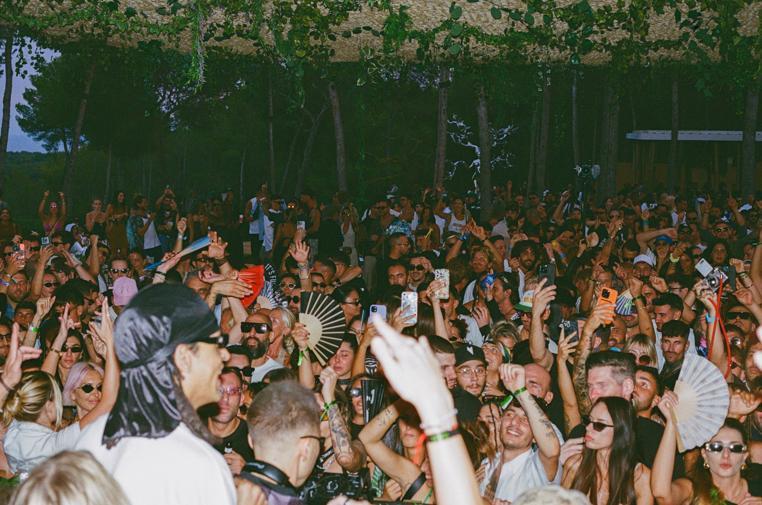 SG CROWD WEBSITE.jpeg